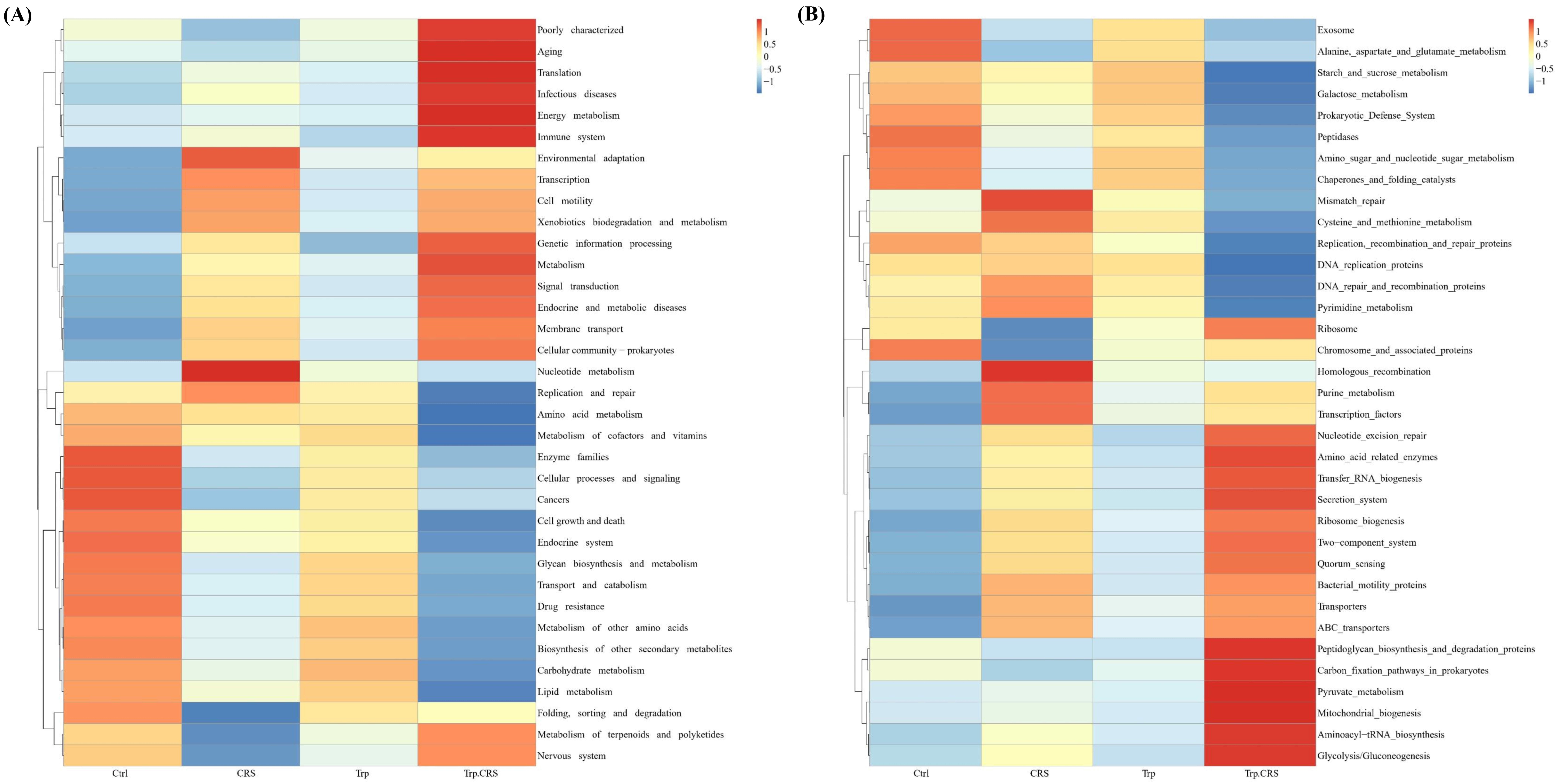 Nutrients 17 00975 g006