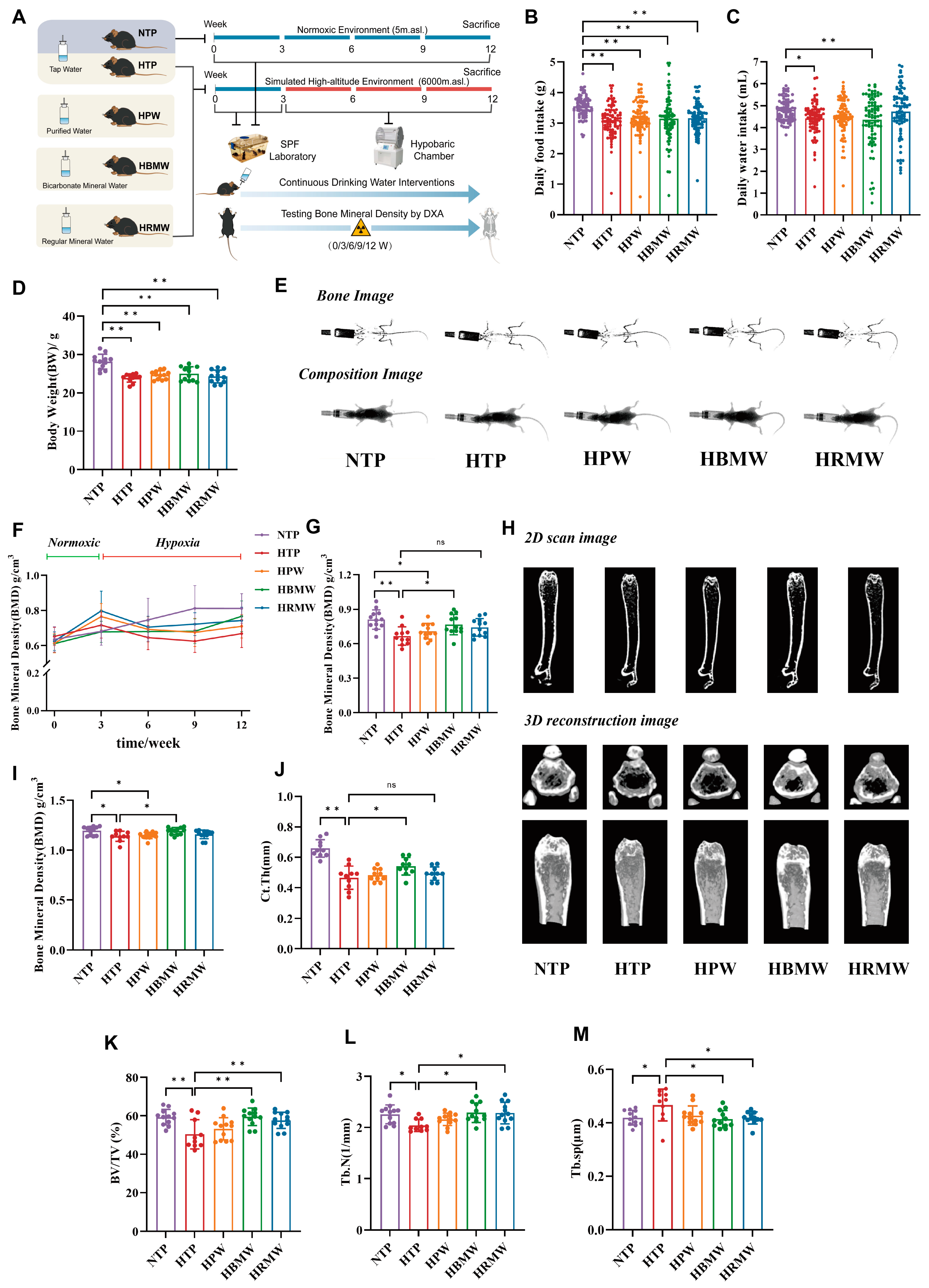 Nutrients 17 00998 g001