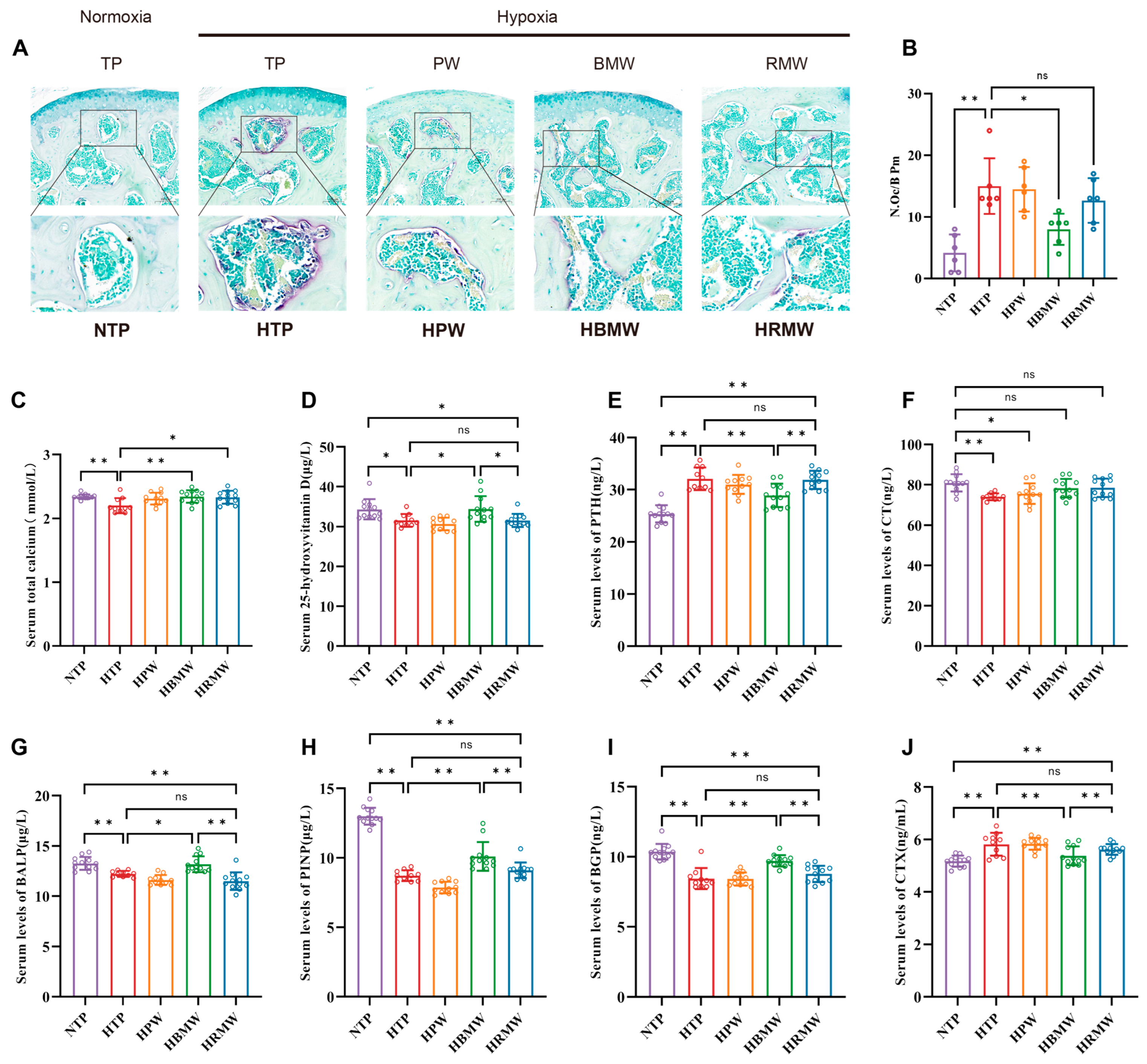Nutrients 17 00998 g002