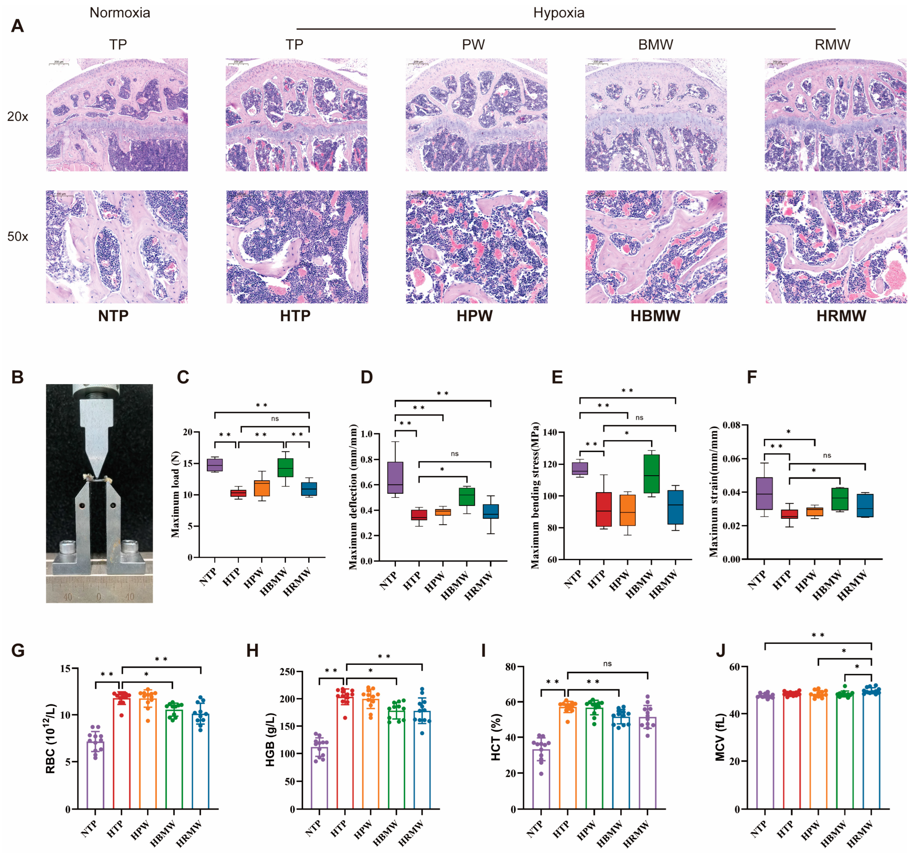Nutrients 17 00998 g003