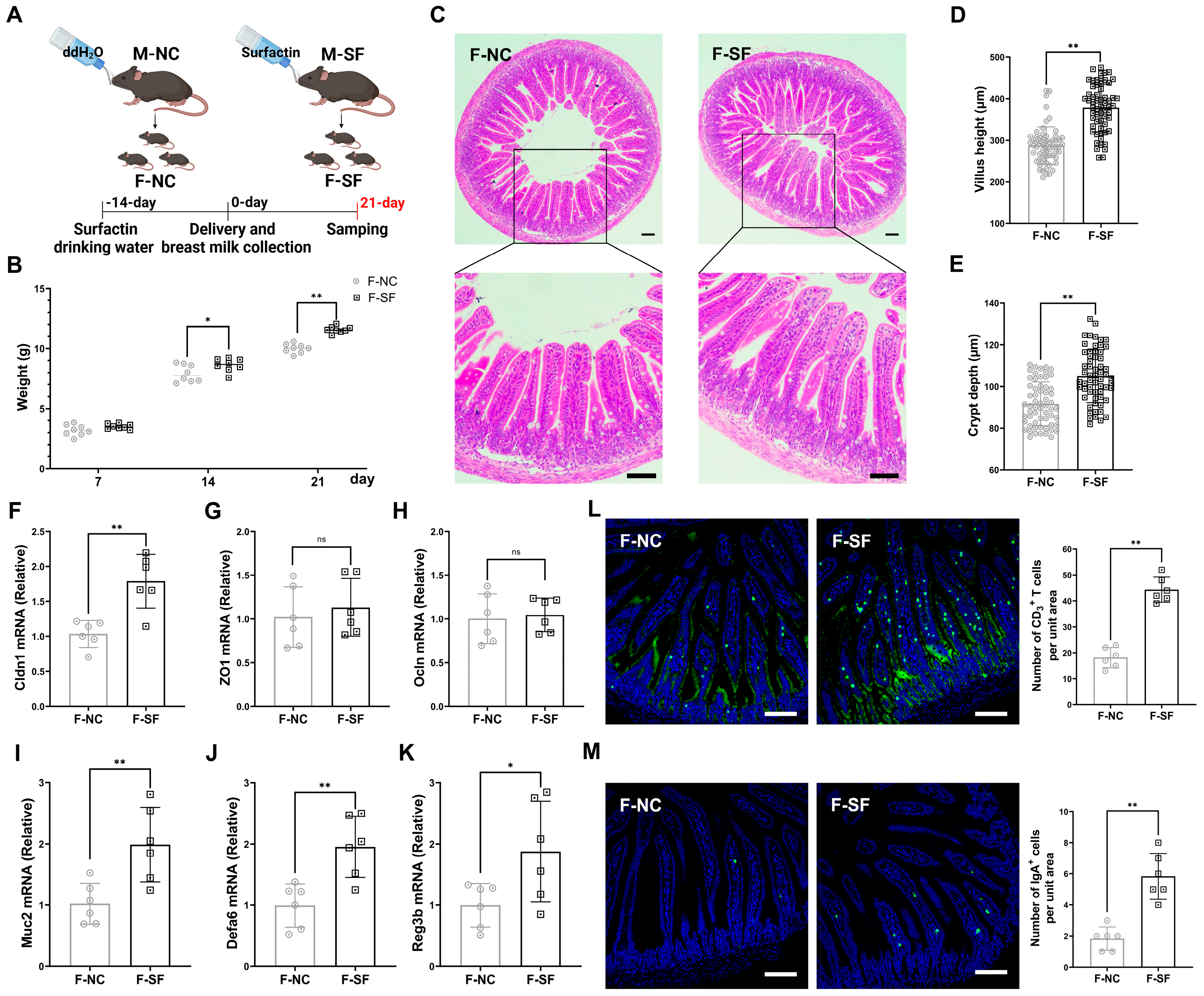 Nutrients 17 01009 g001