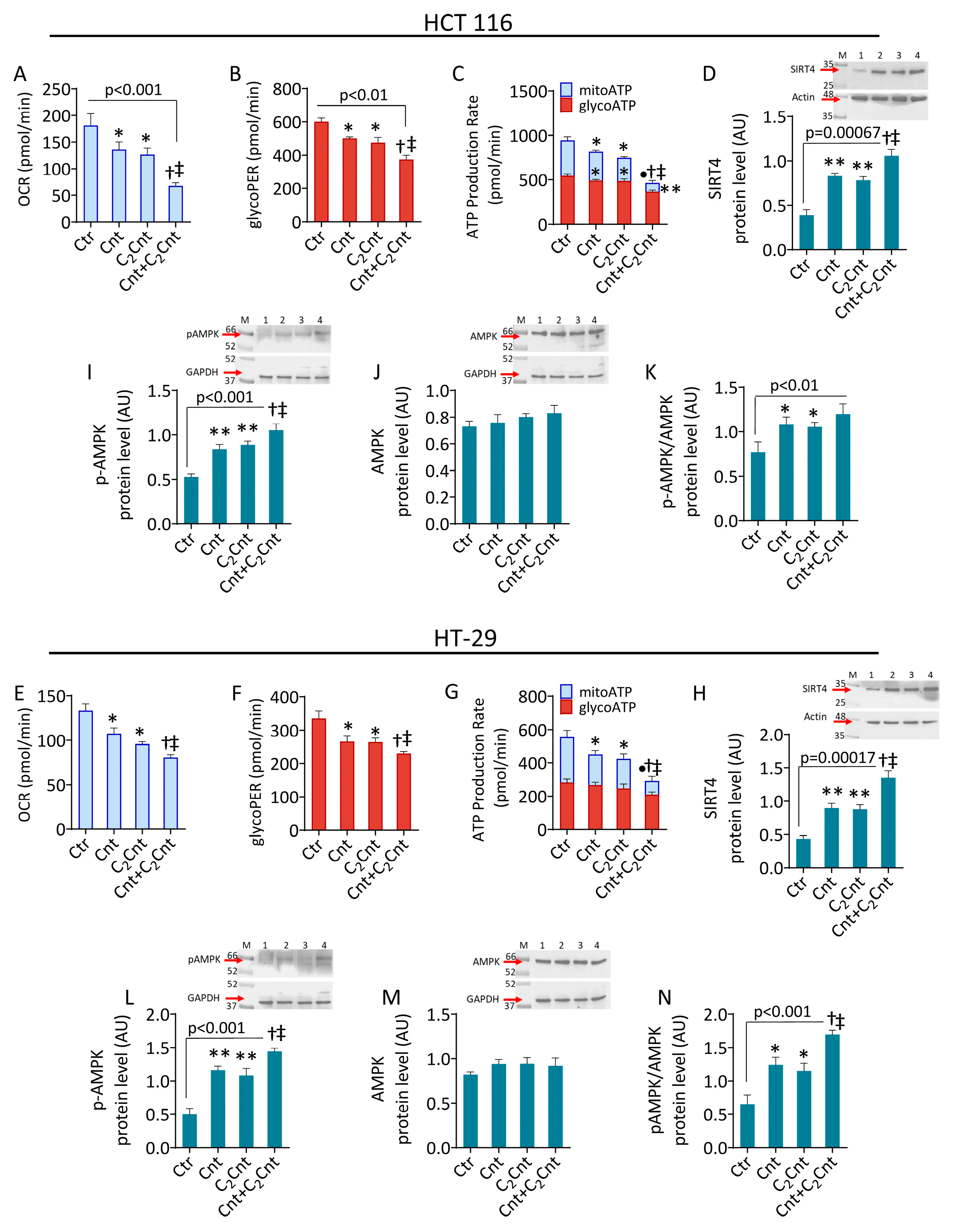 Nutrients 17 01010 g002