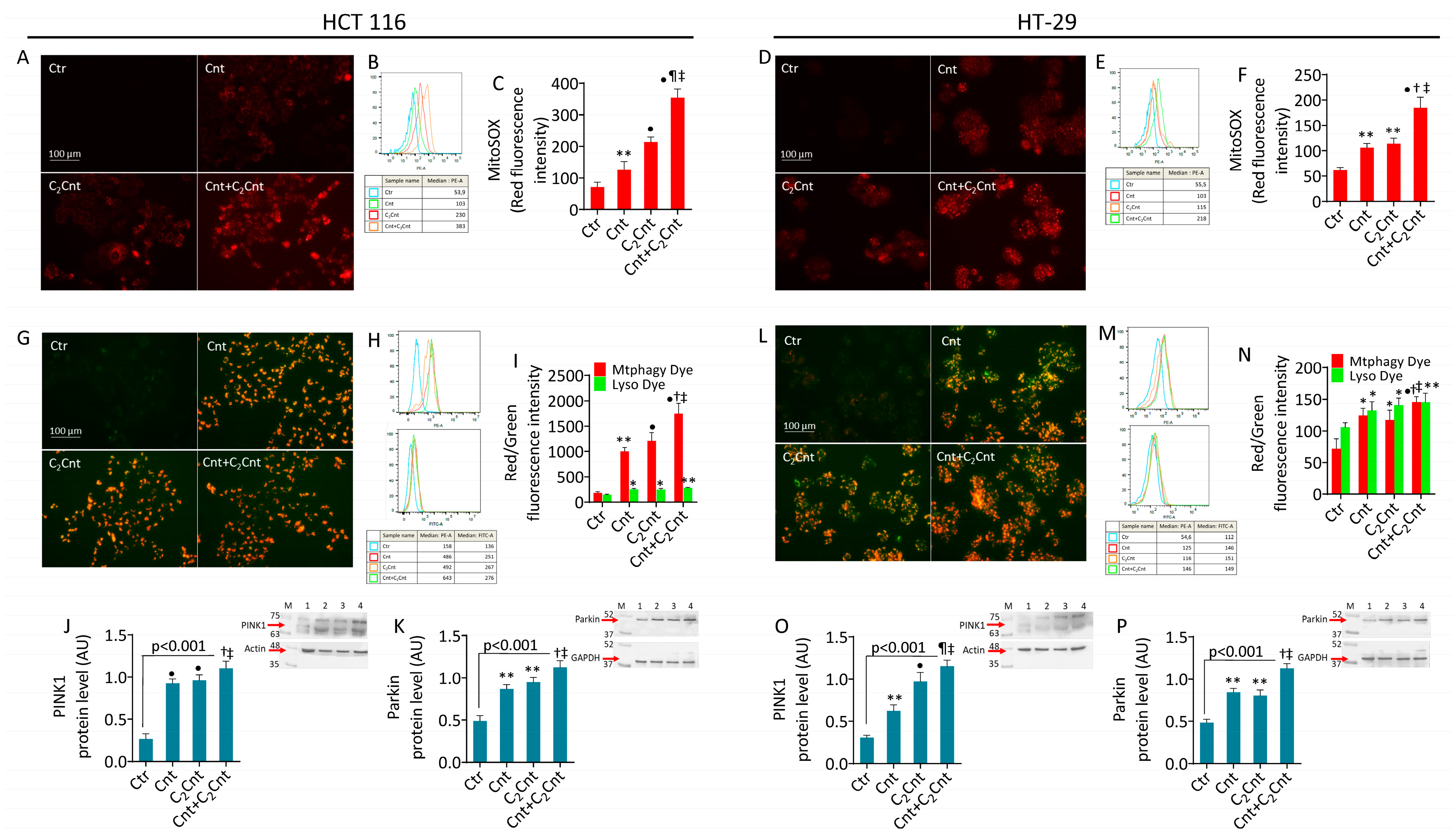 Nutrients 17 01010 g003