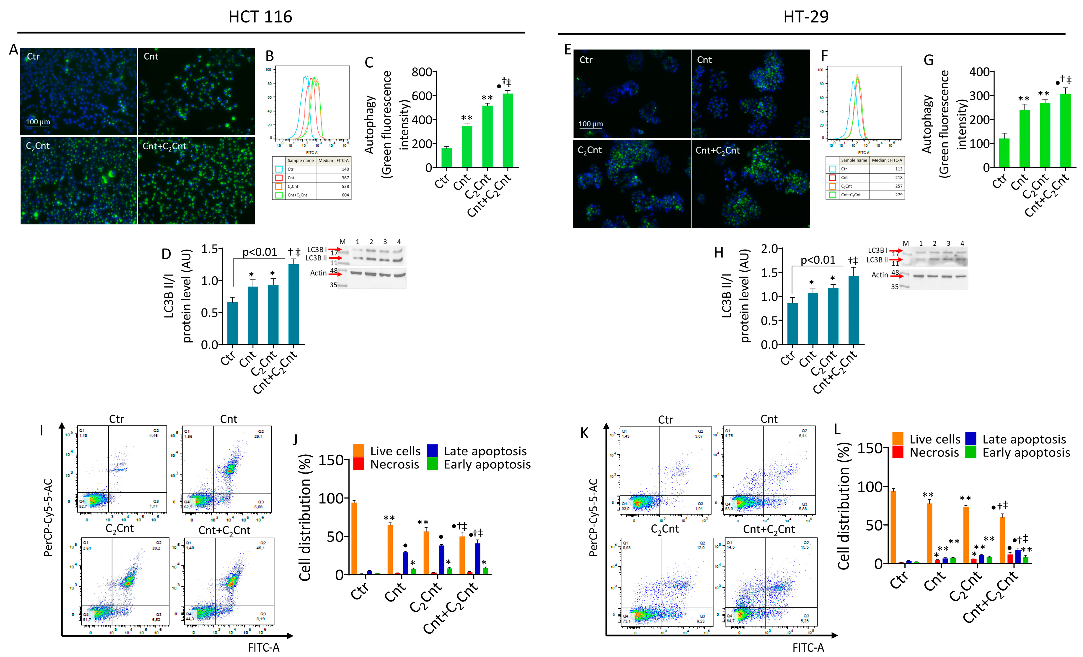 Nutrients 17 01010 g004