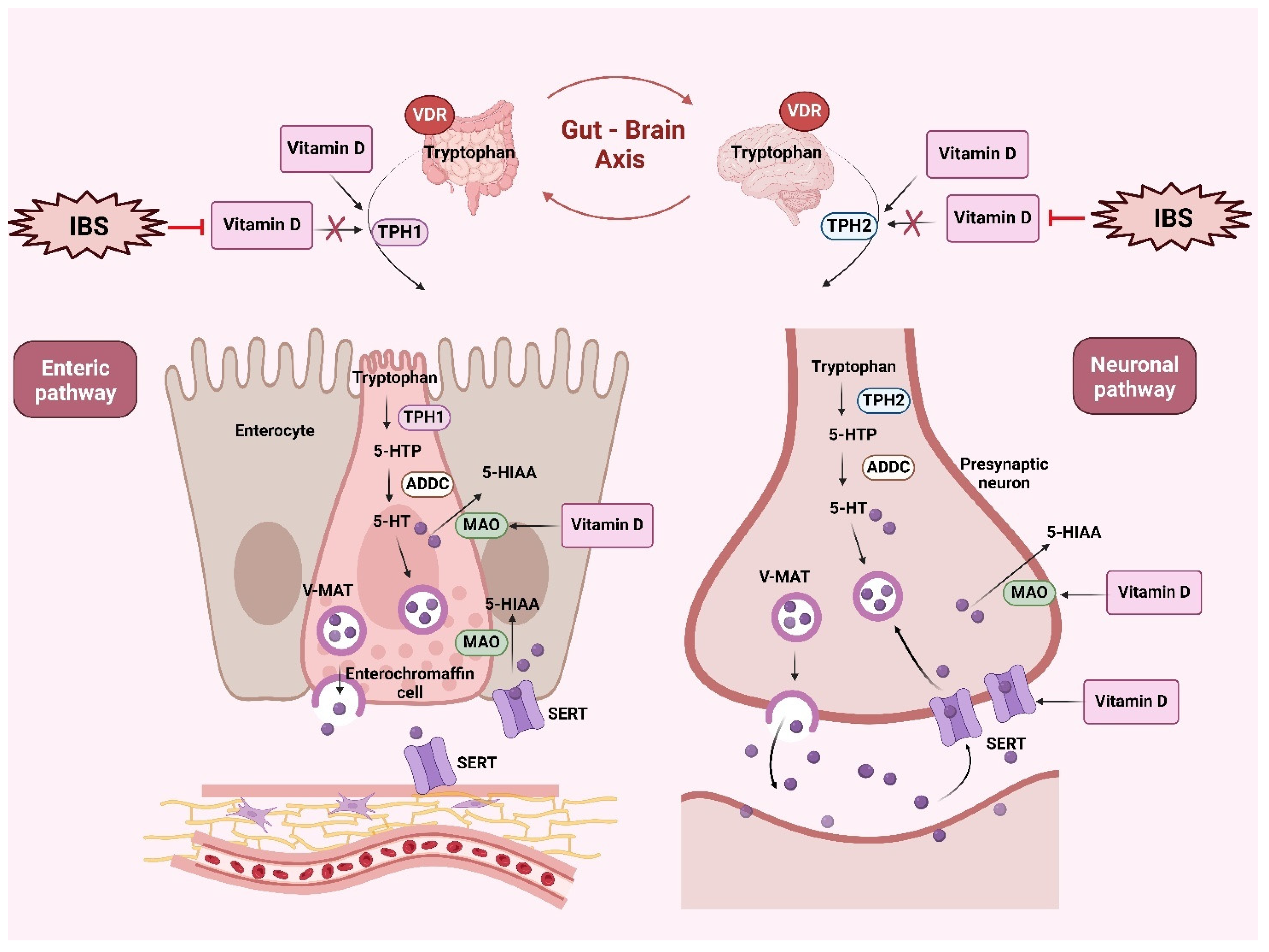 Nutrients 17 01028 g002
