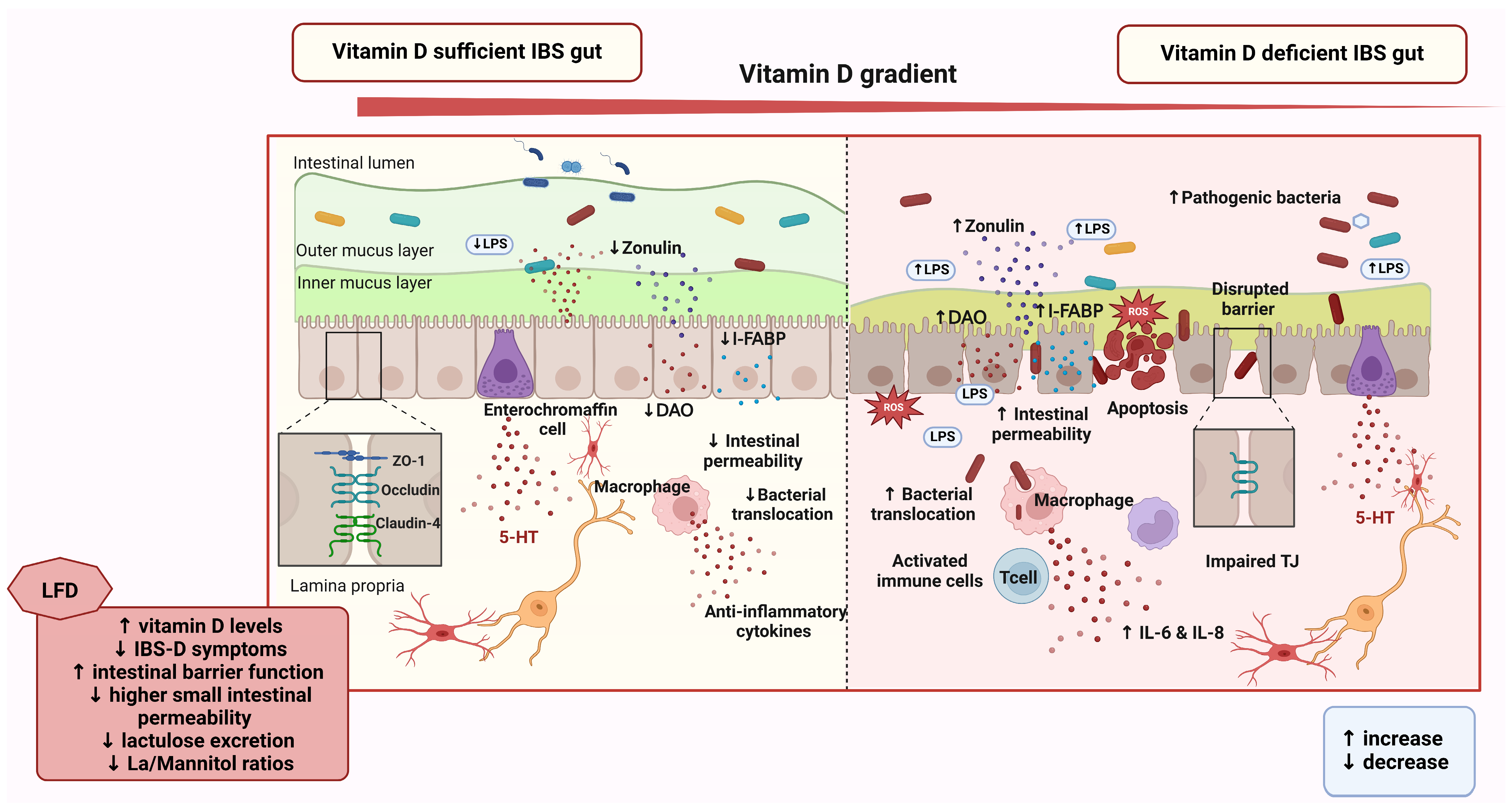 Nutrients 17 01028 g003