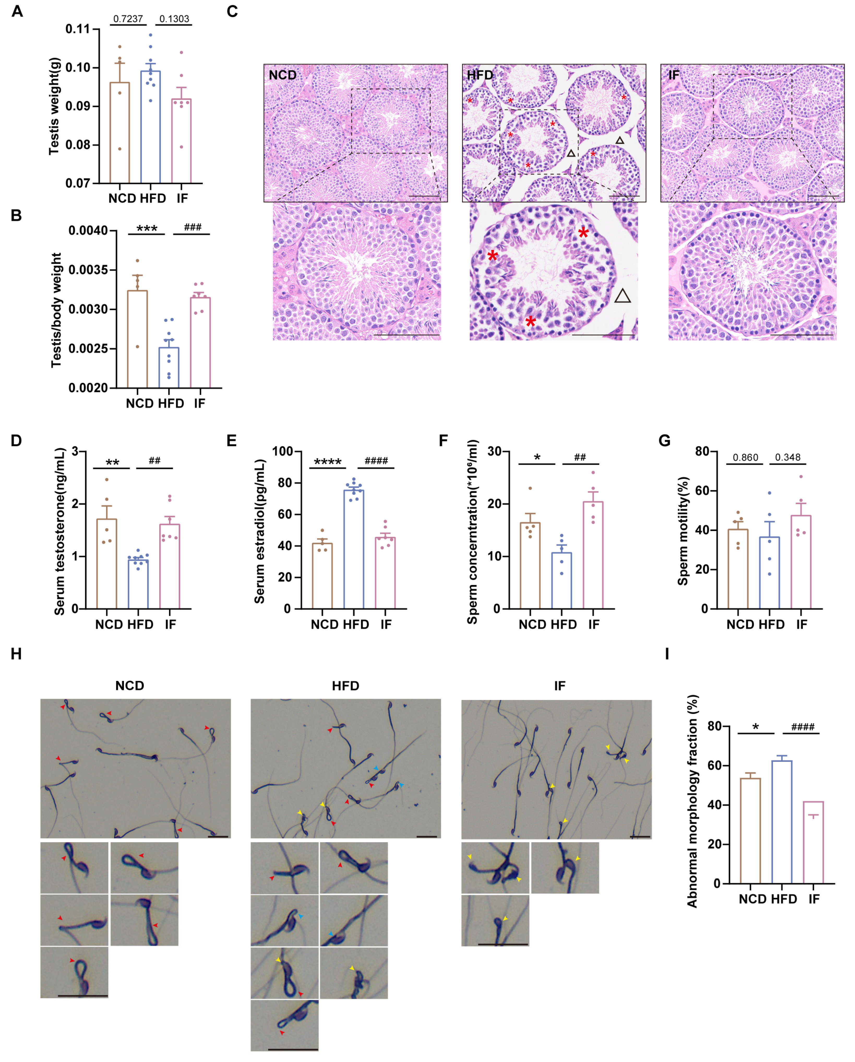 Nutrients 17 01029 g002