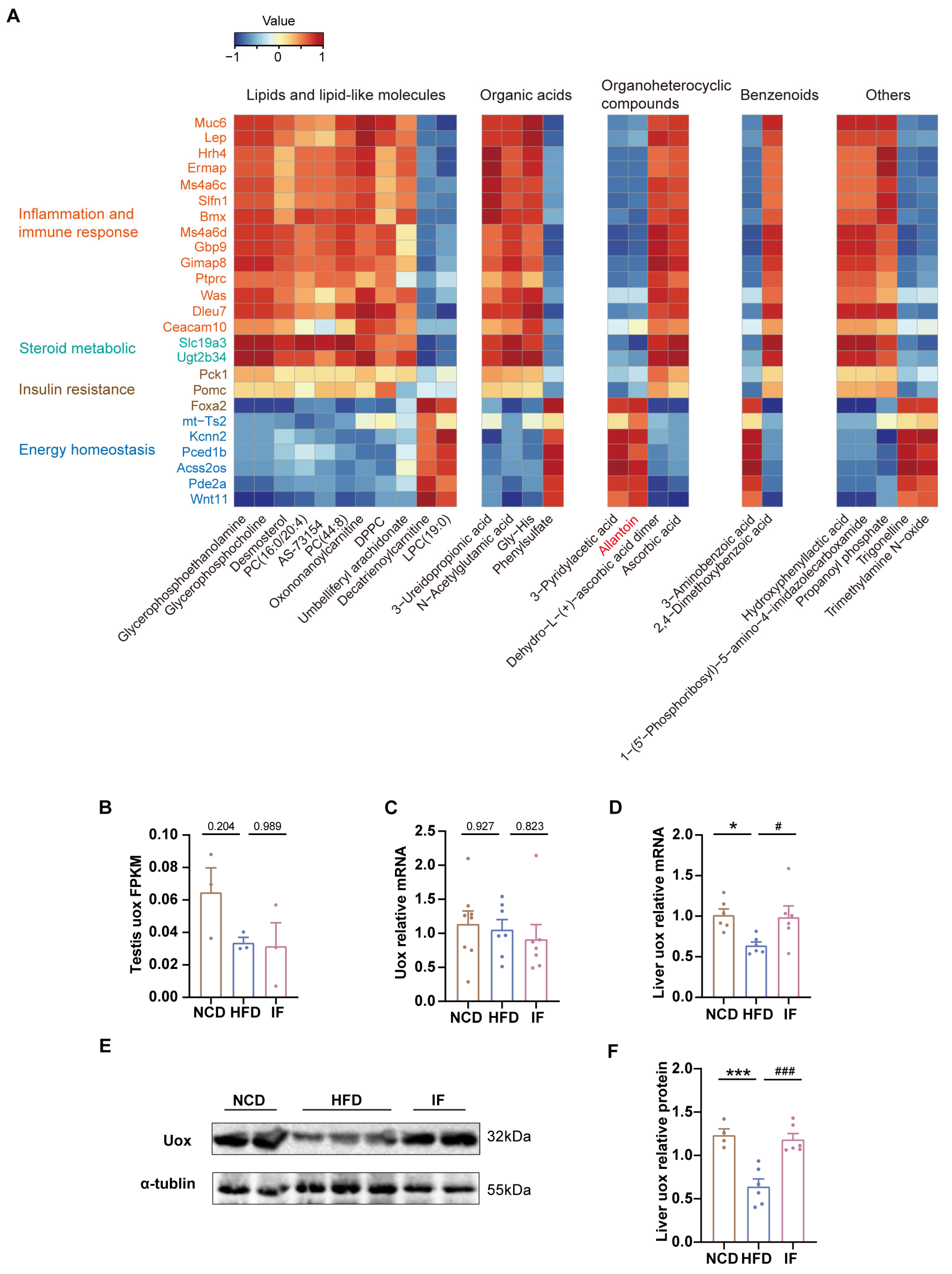 Nutrients 17 01029 g007