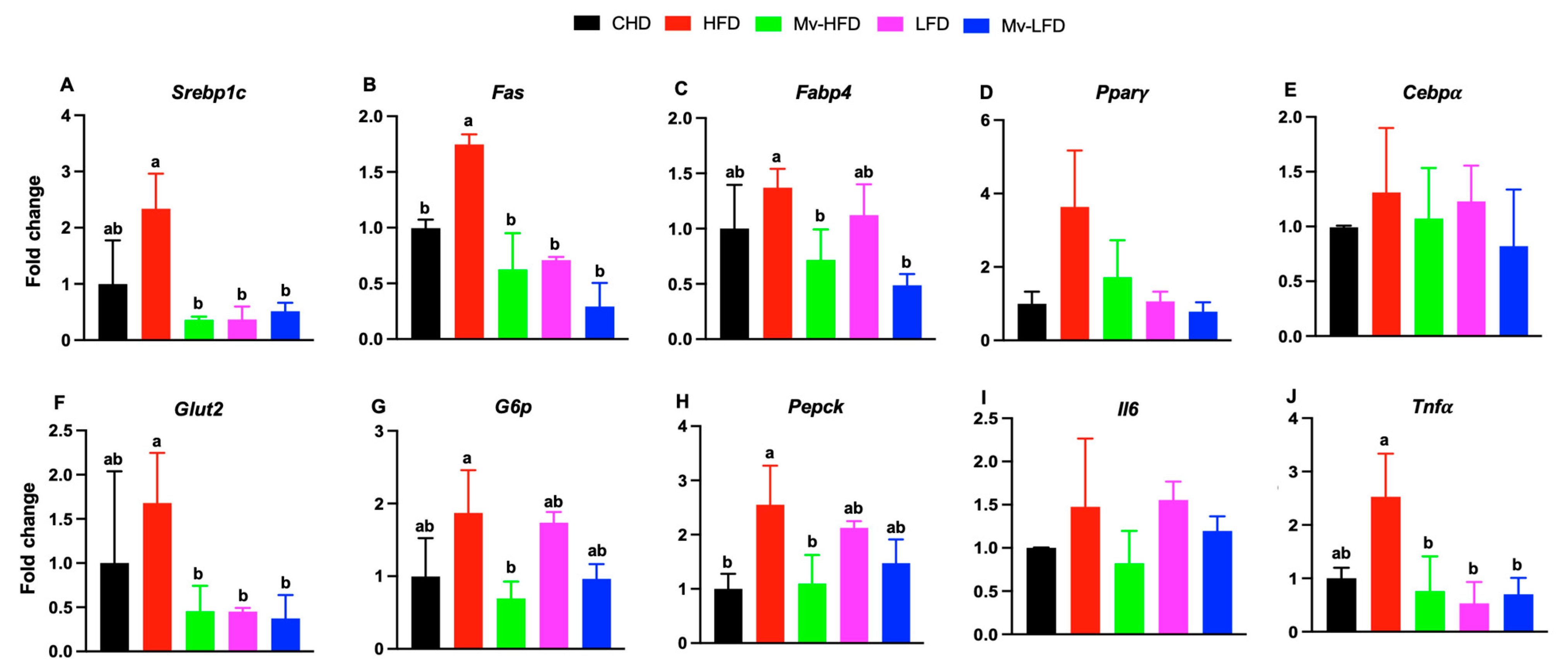 Nutrients 17 01045 g005