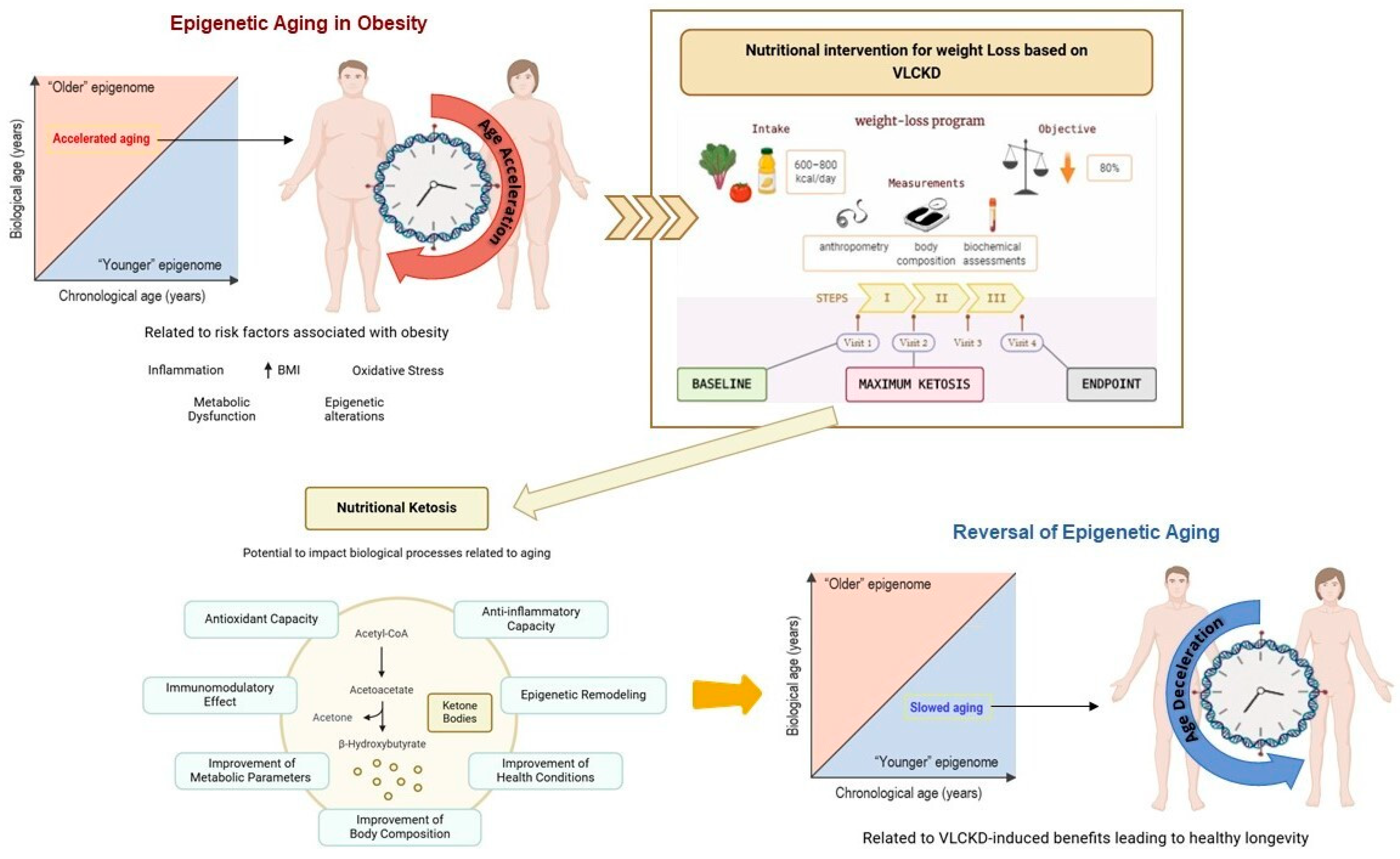 Nutrients 17 01060 g005