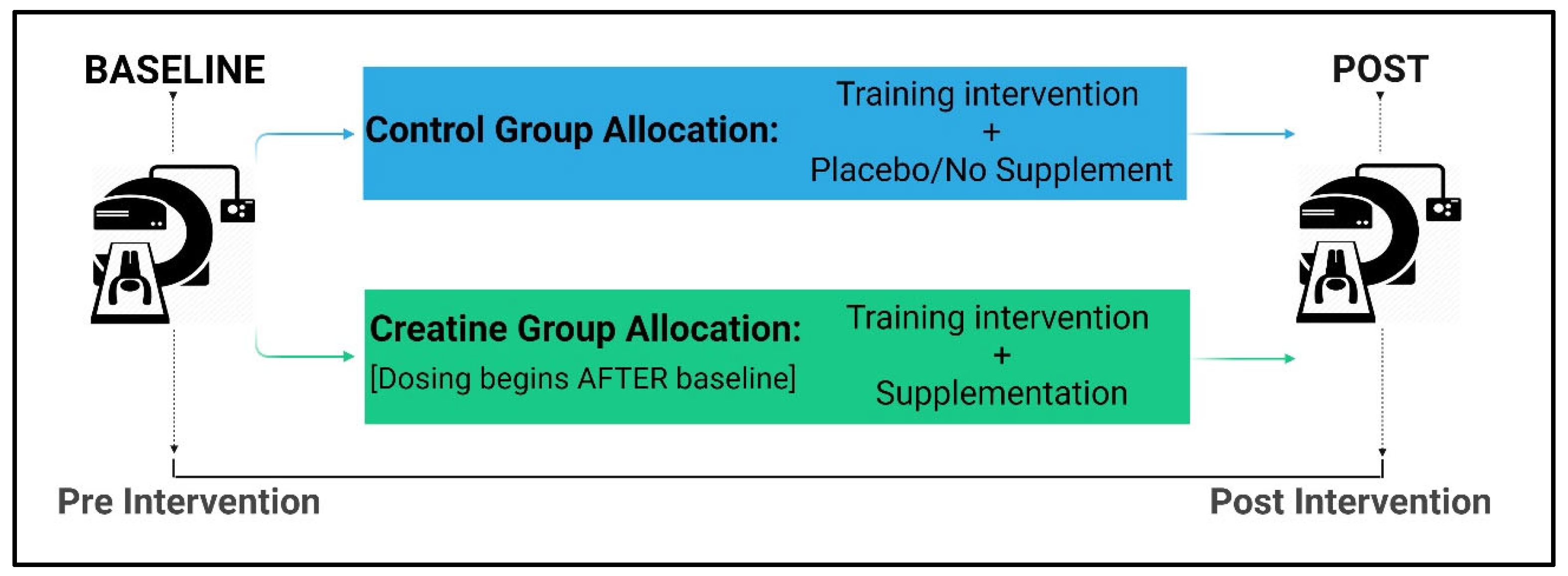Nutrients 17 01081 g001