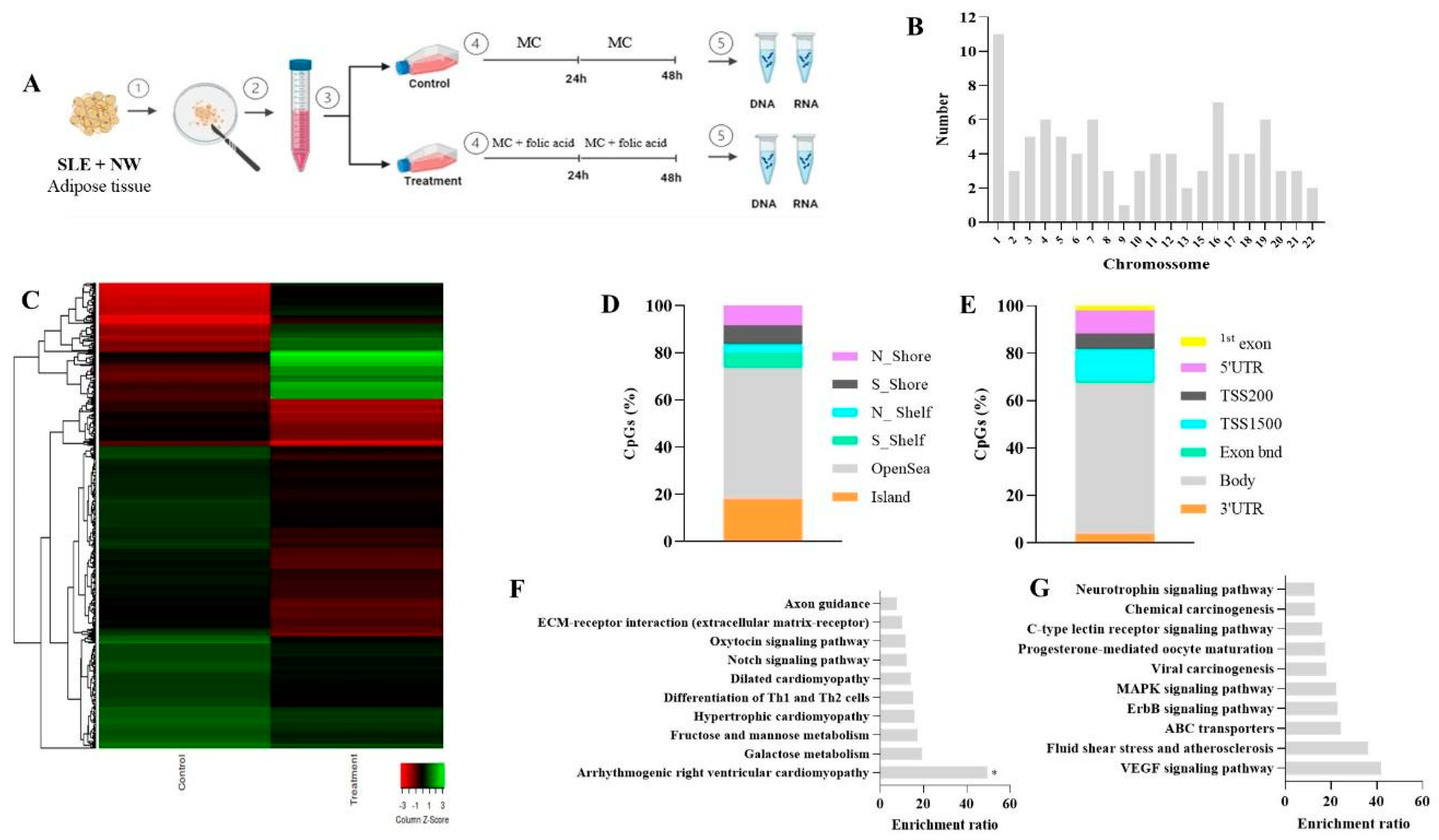 Nutrients 17 01086 g002