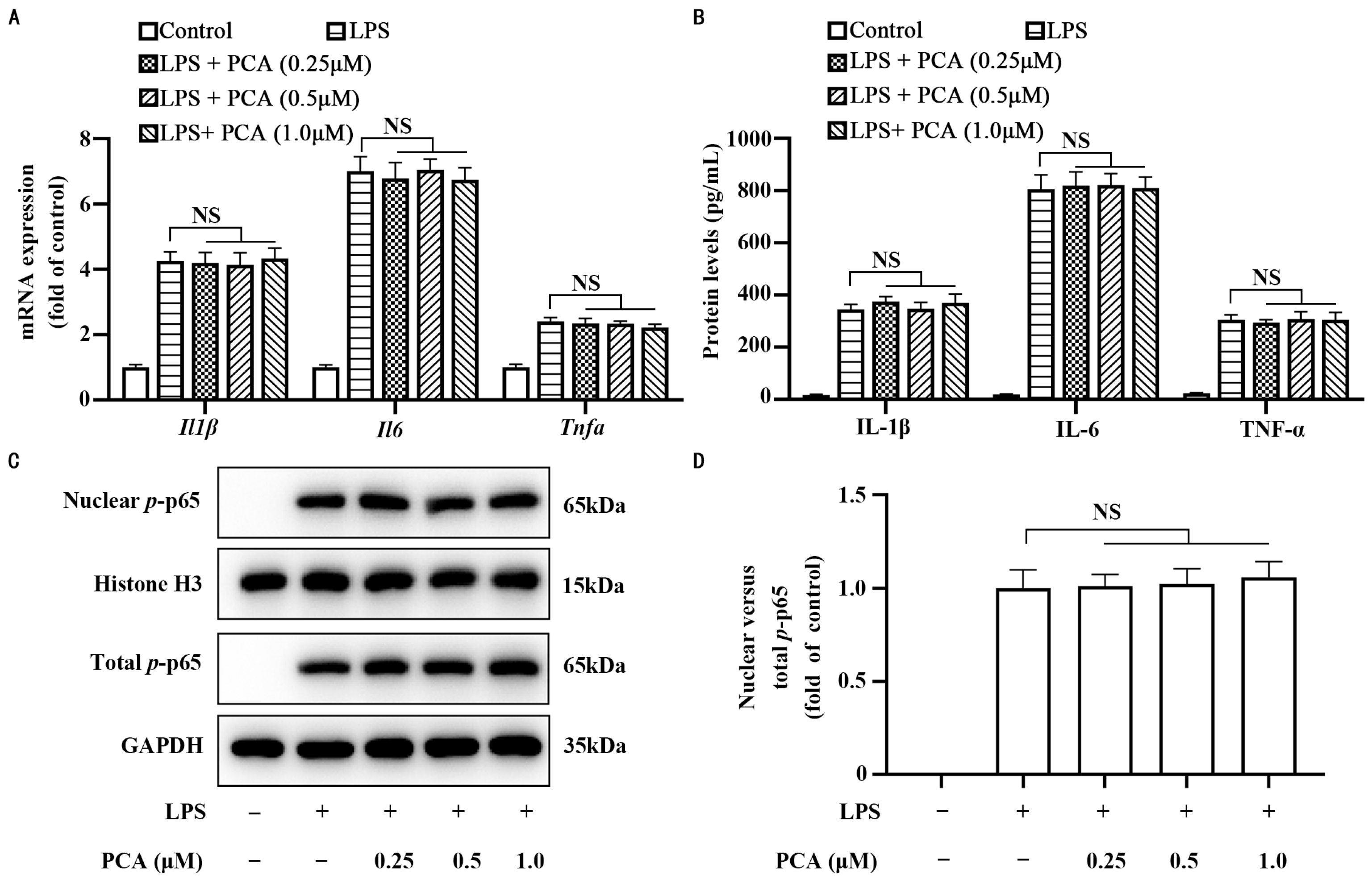 Nutrients 17 01090 g002