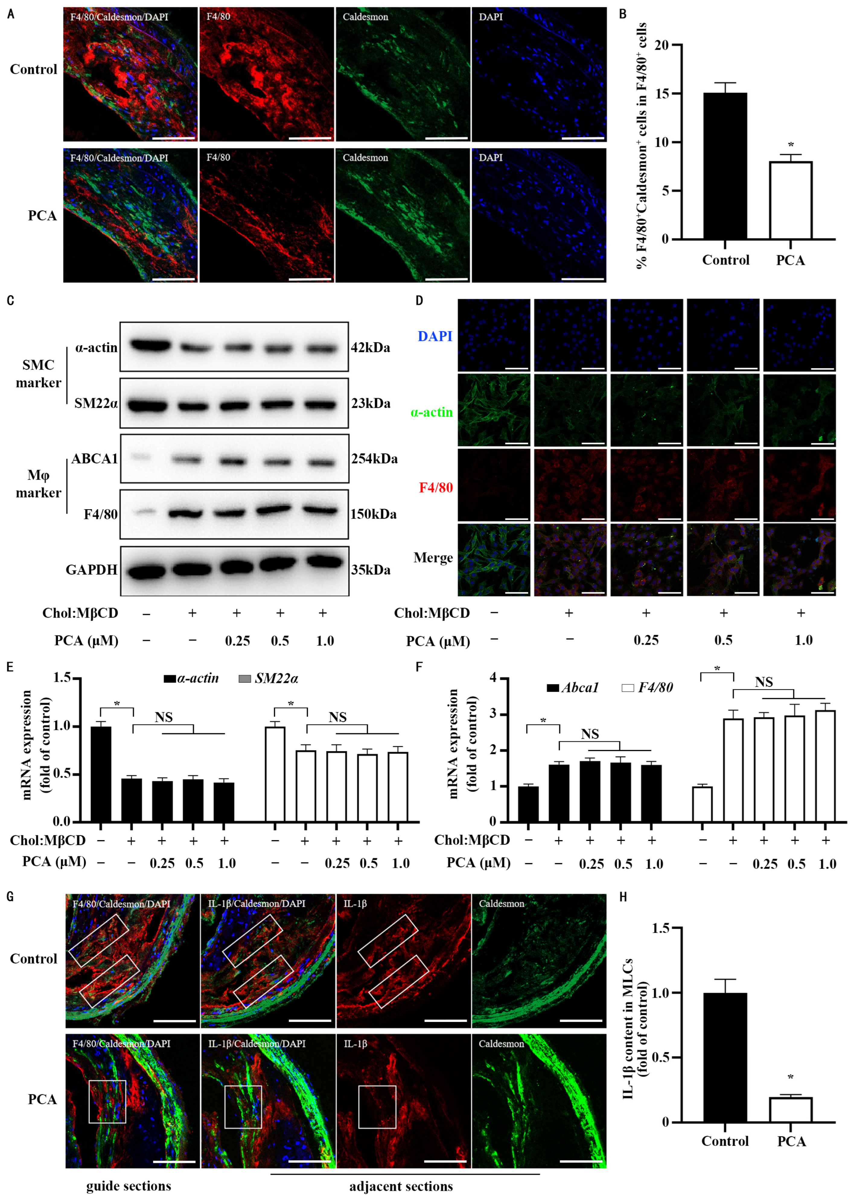 Nutrients 17 01090 g007