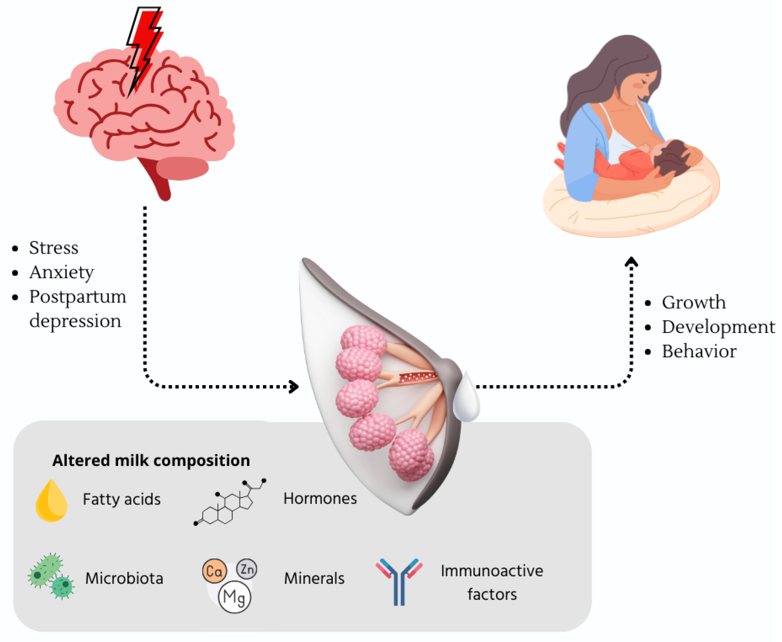 Nutrients 17 01093 g001