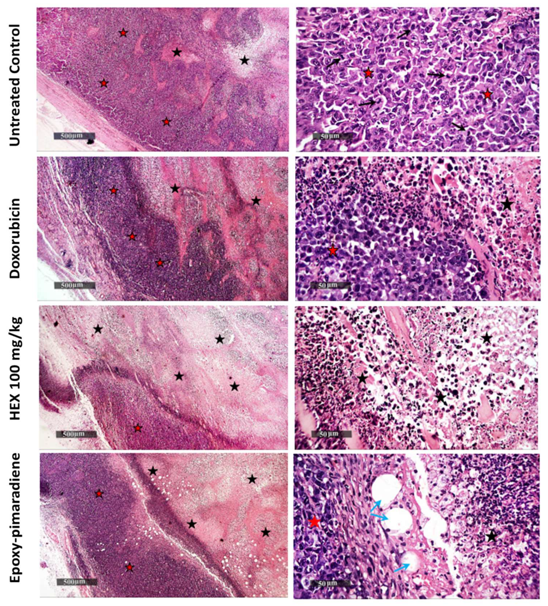 Nutrients 17 01164 g008