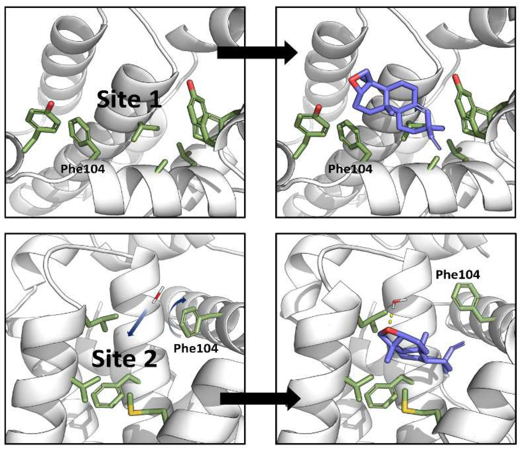 Nutrients 17 01164 g010