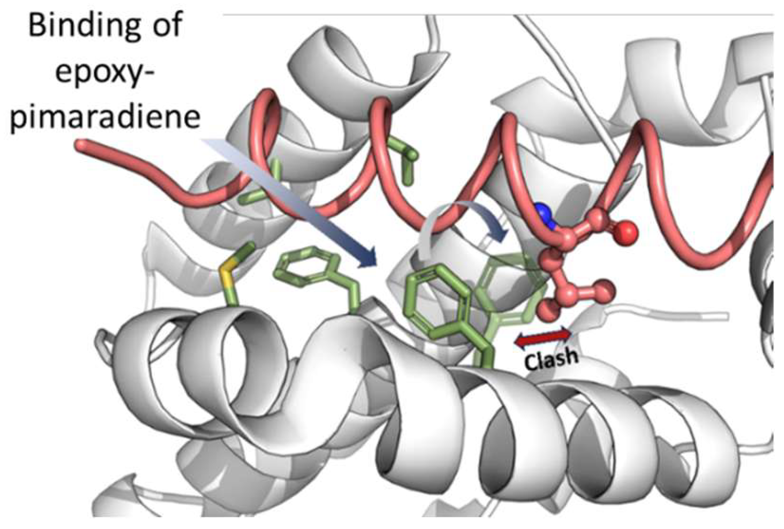 Nutrients 17 01164 g012
