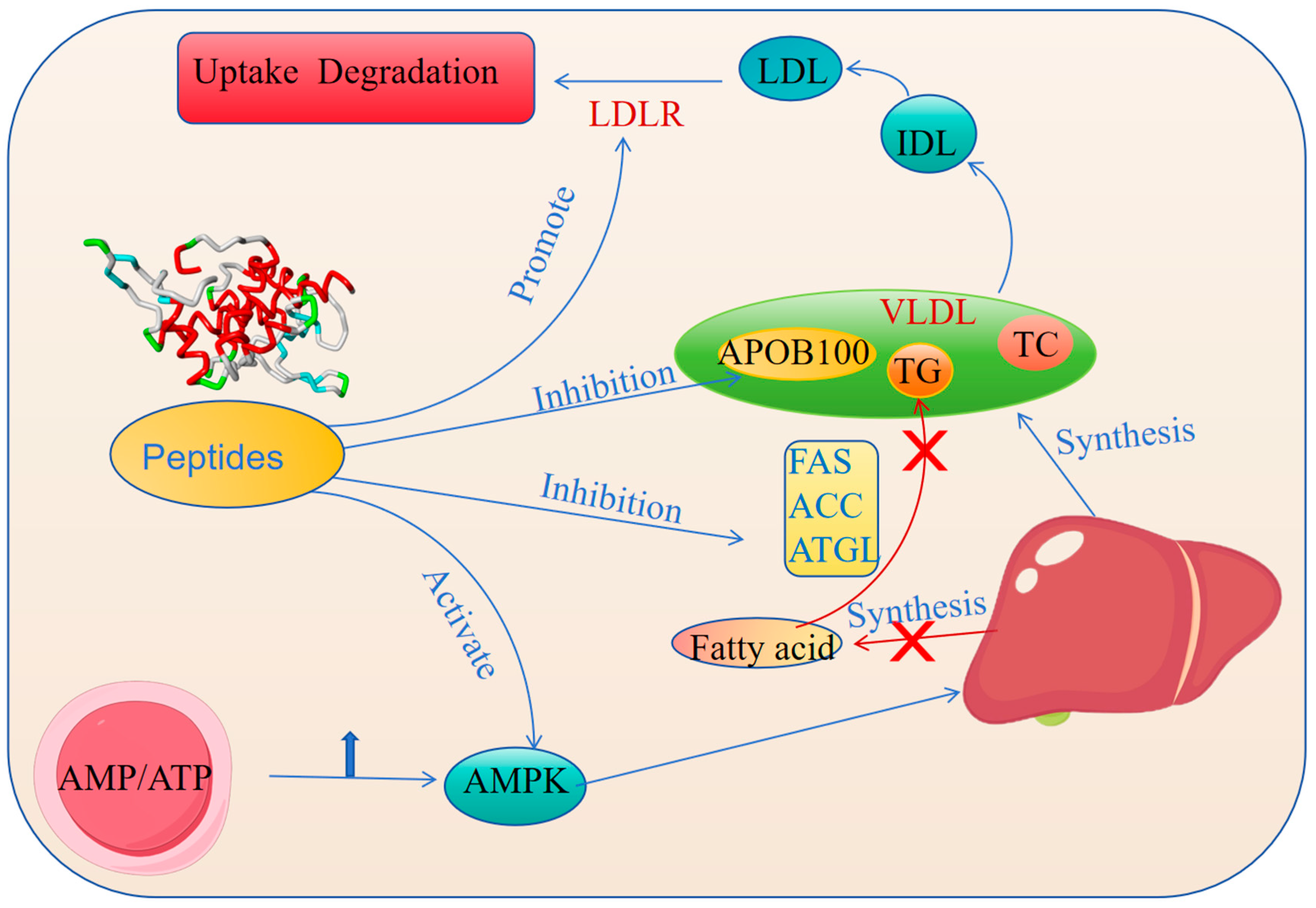 Nutrients 17 01181 g003