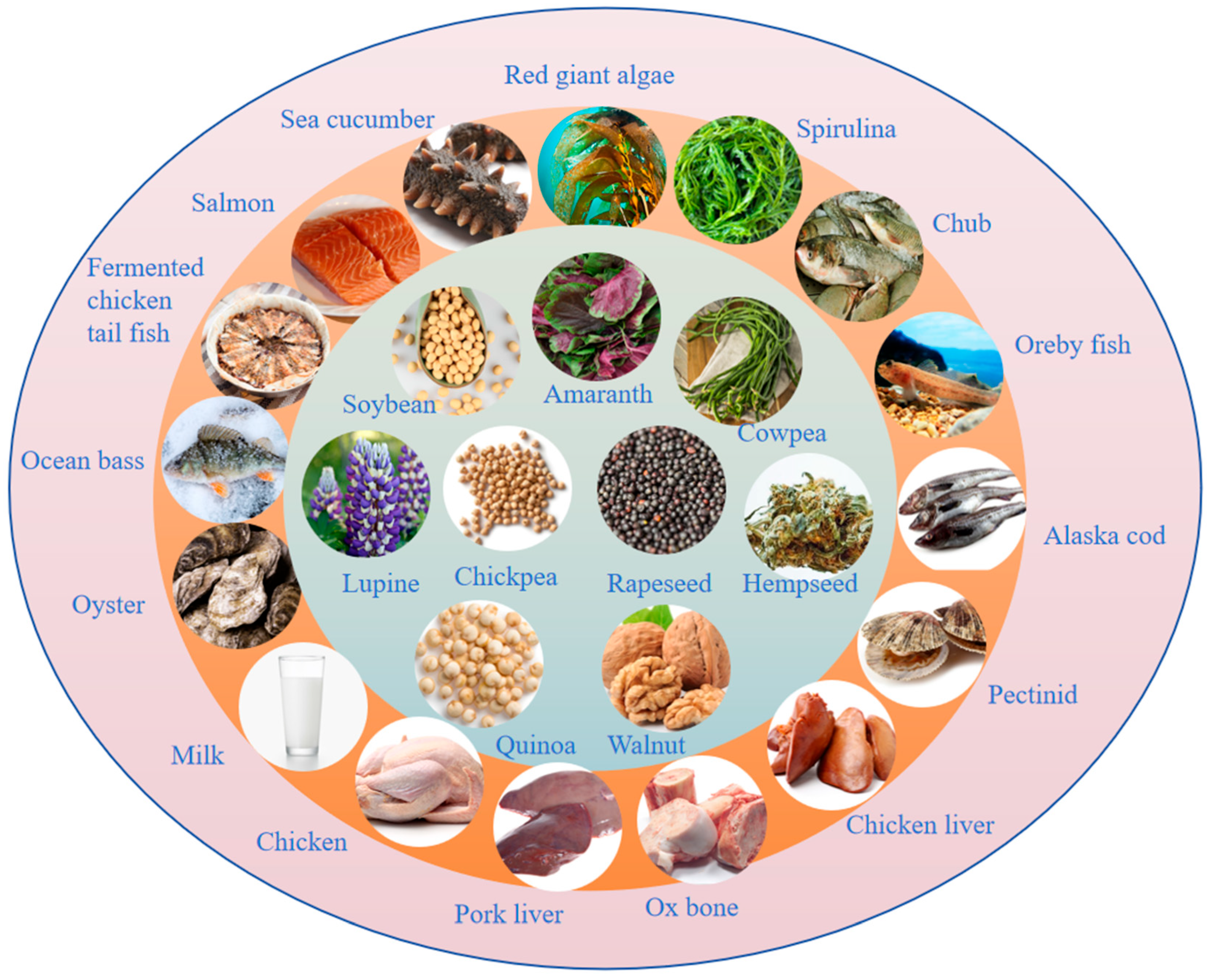 Nutrients 17 01181 g004