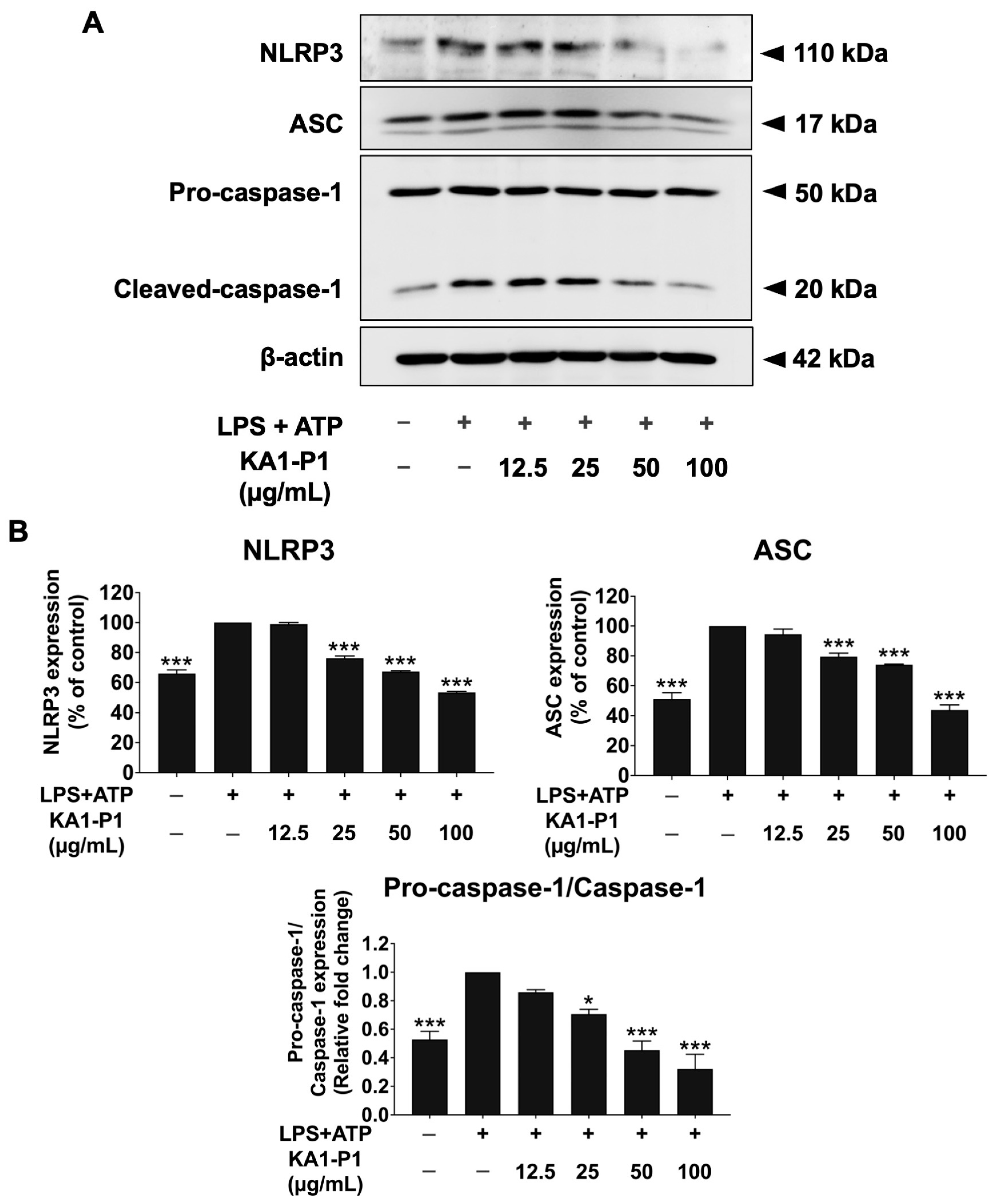 Nutrients 17 01186 g005 Nutrients 17 01186 g005