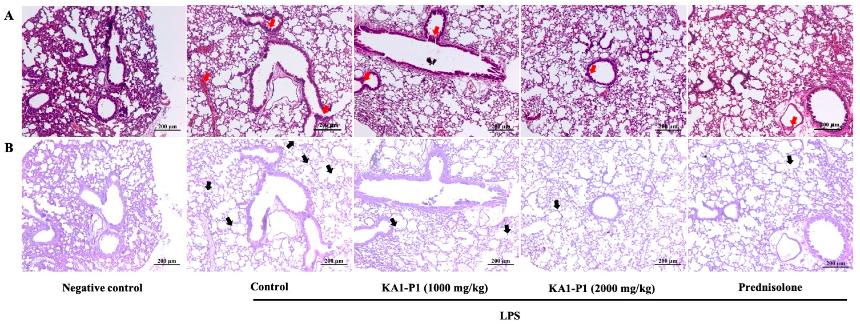 Nutrients 17 01186 g006 Nutrients 17 01186 g006