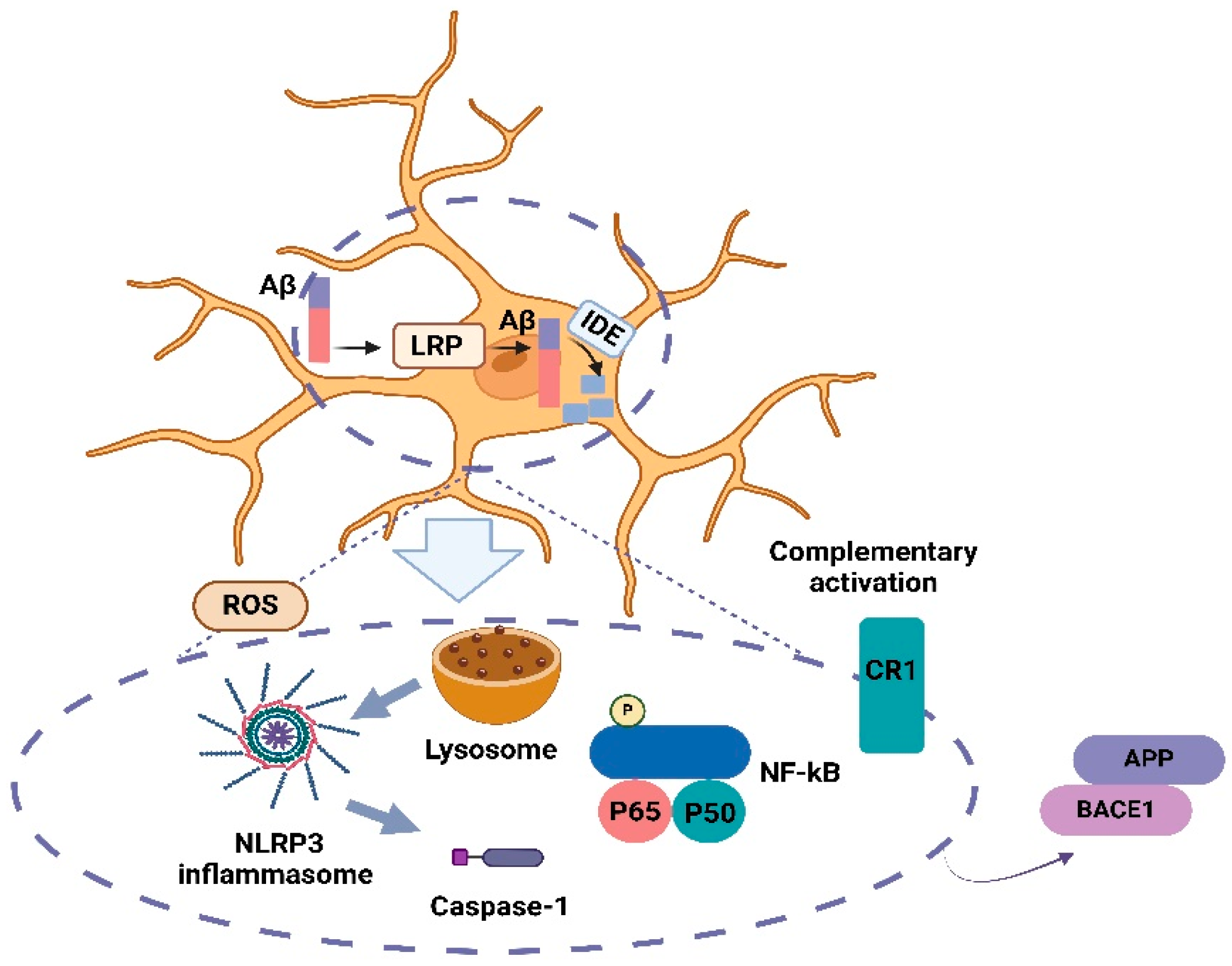 Nutrients 17 01203 g001