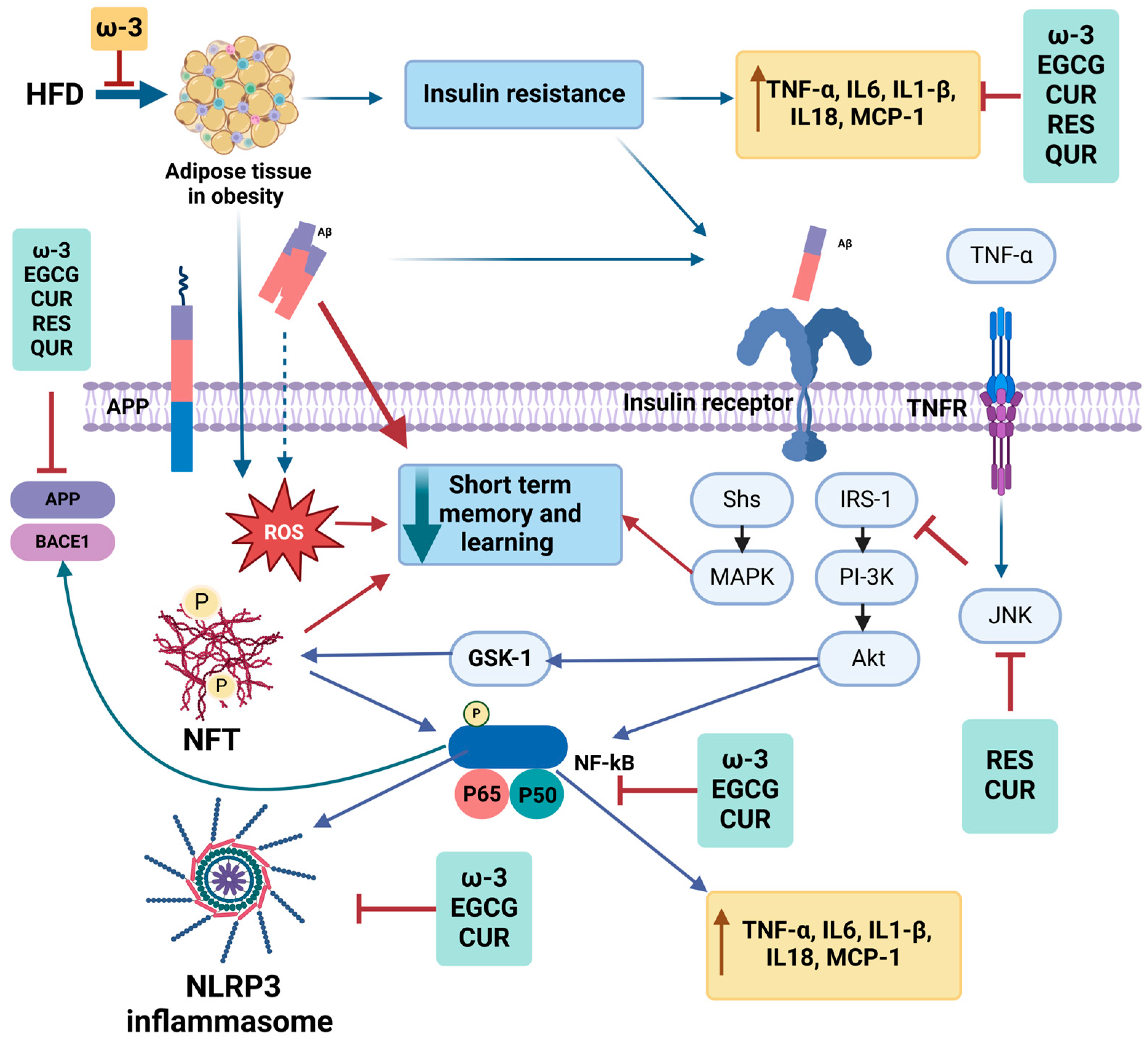 Nutrients 17 01203 g002