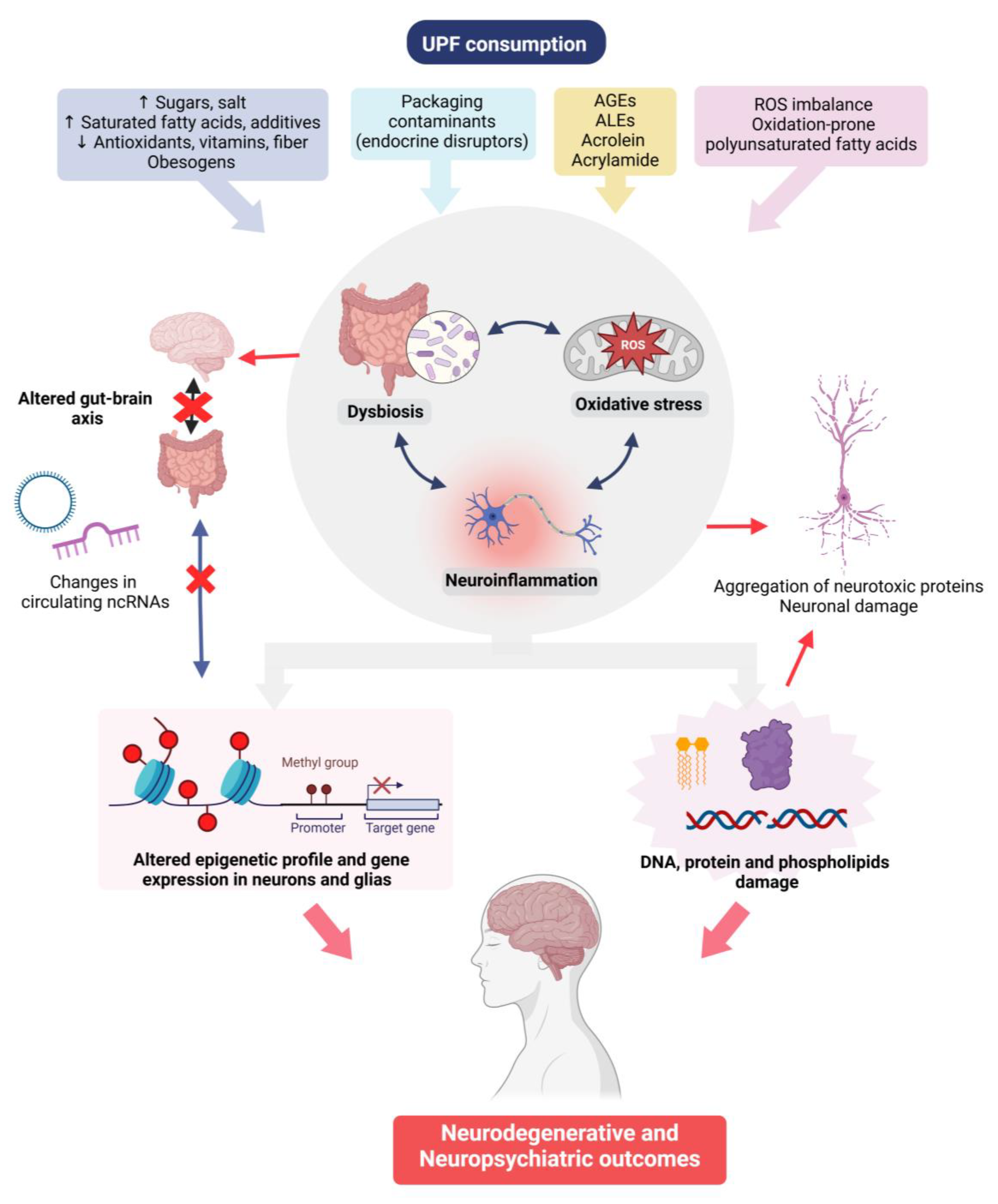 Nutrients 17 01215 g003