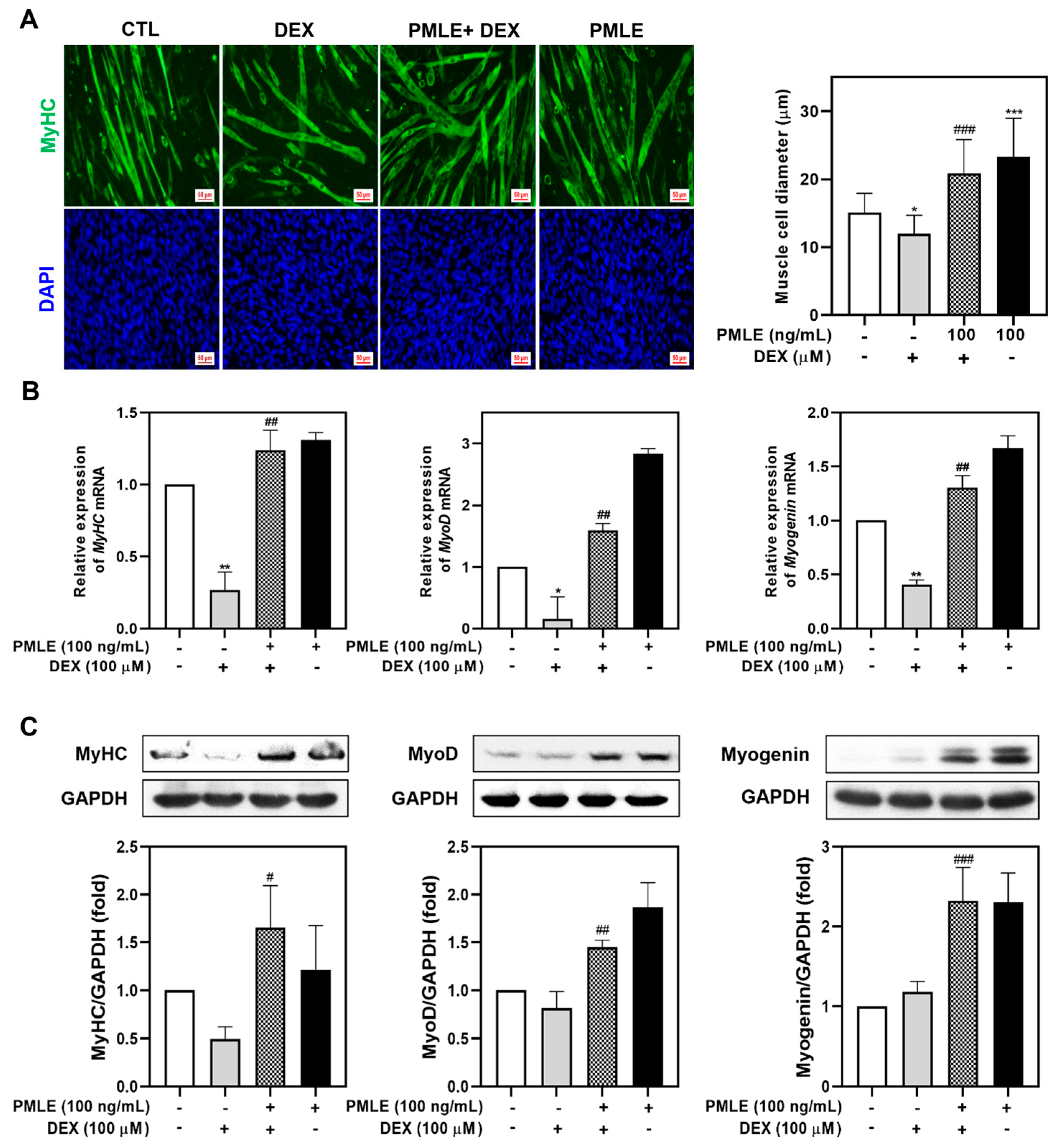 Nutrients 17 01217 g003
