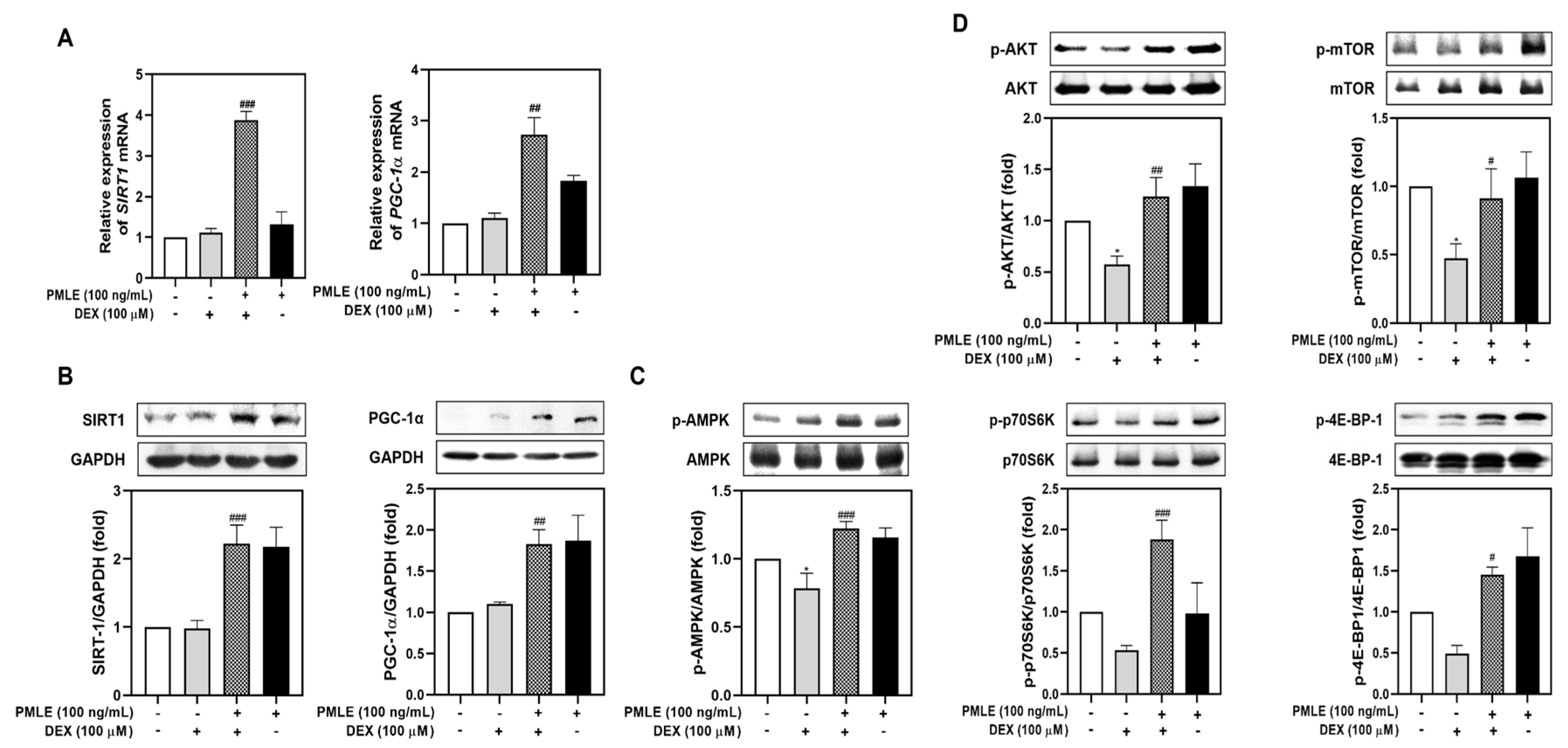 Nutrients 17 01217 g004