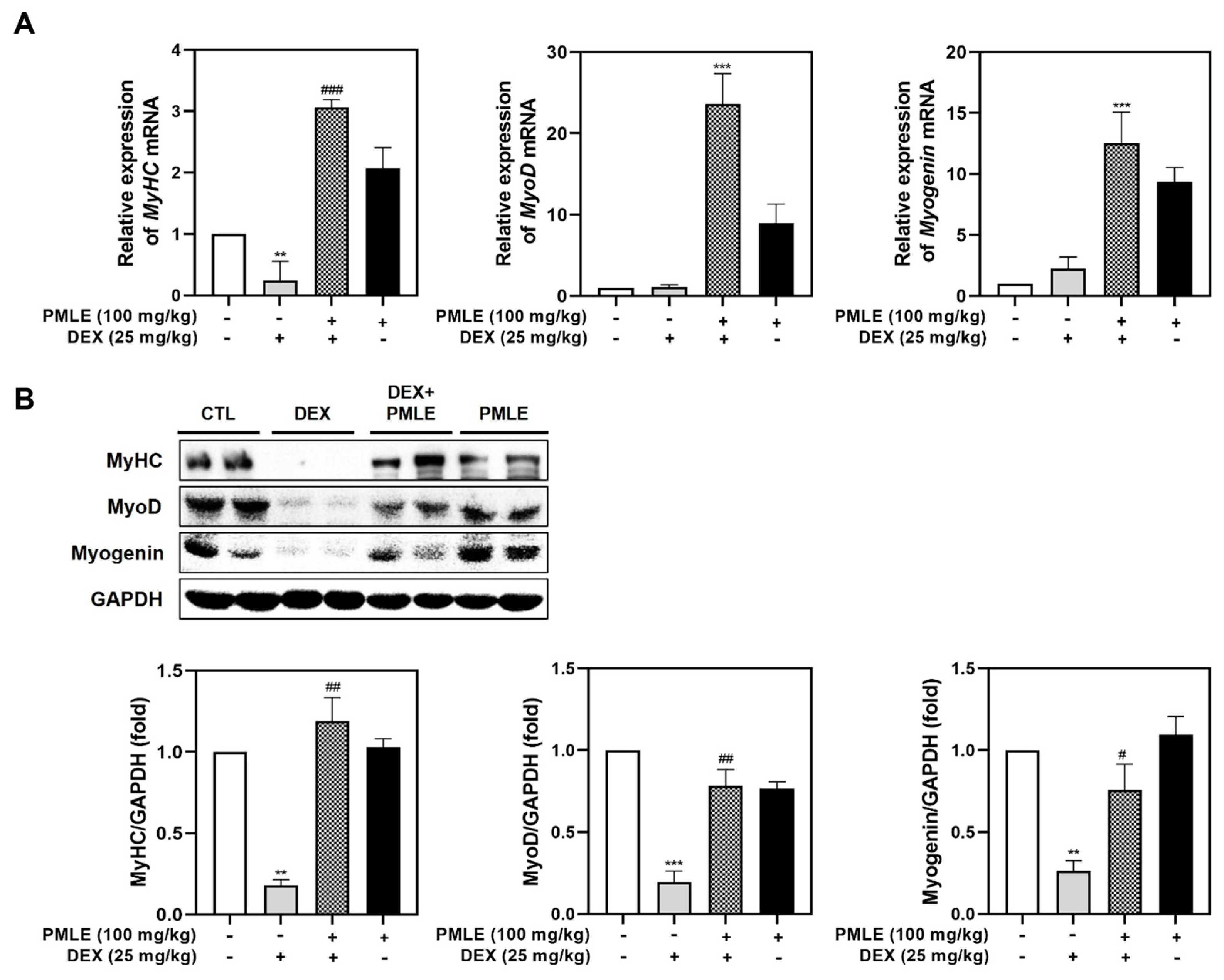 Nutrients 17 01217 g006