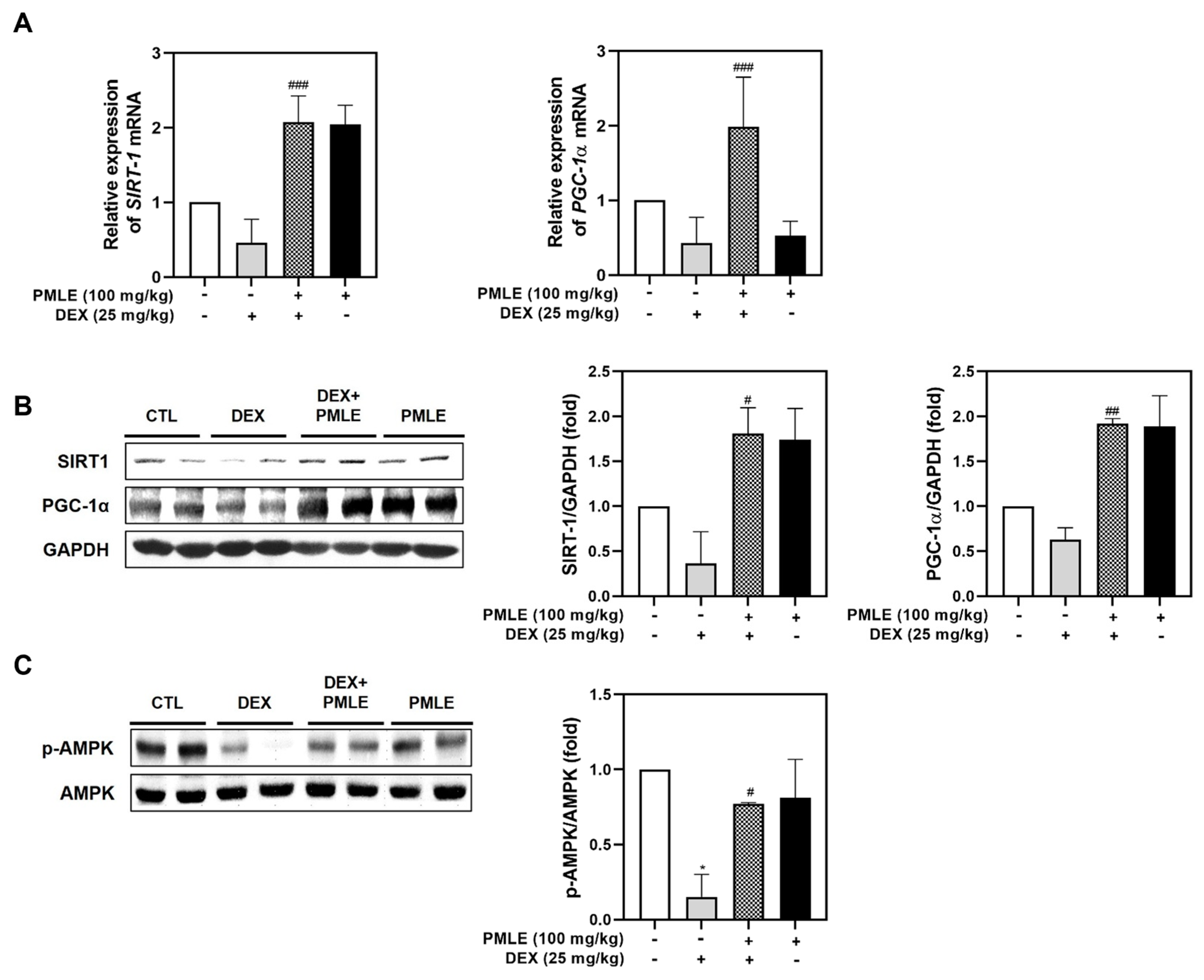 Nutrients 17 01217 g007