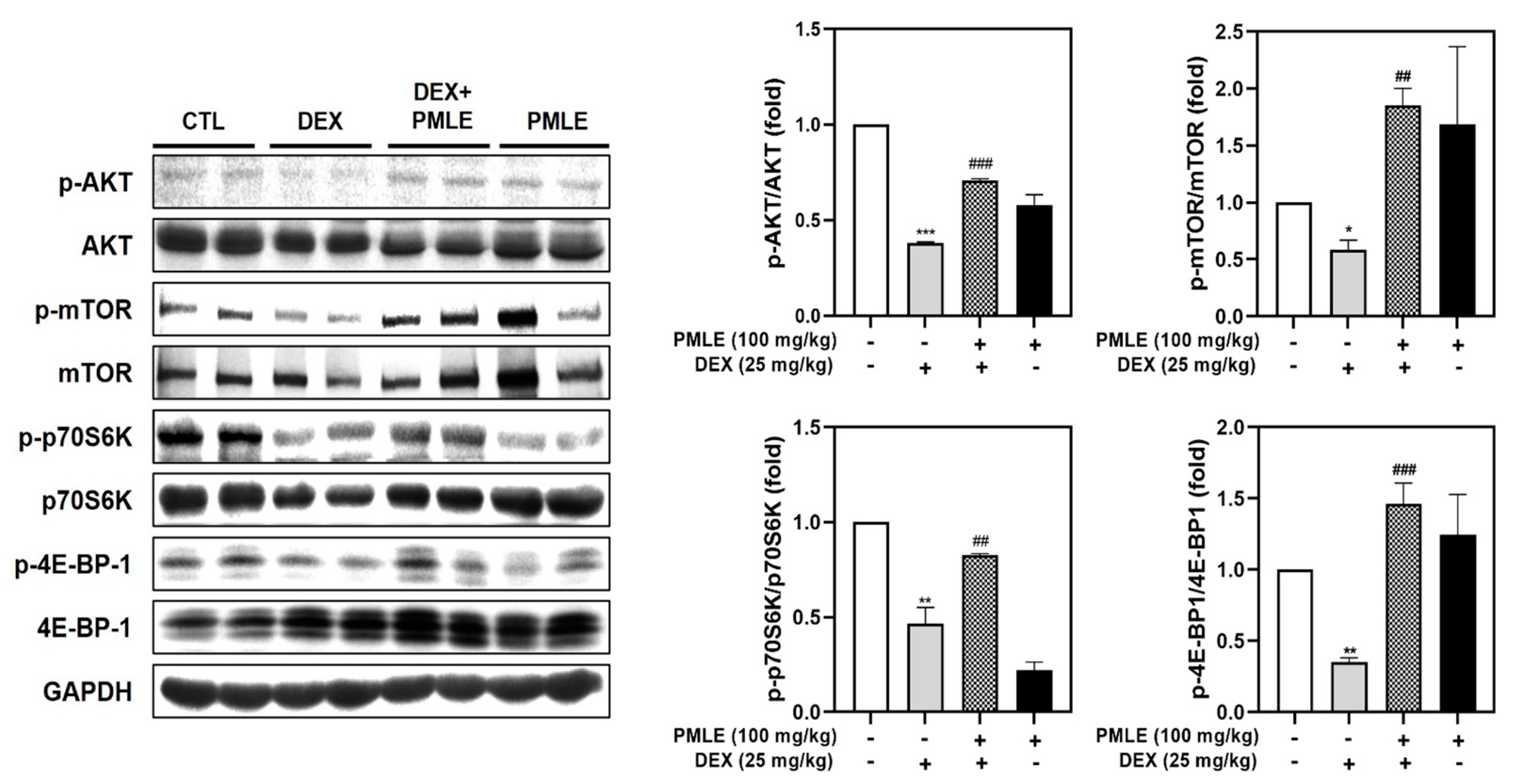 Nutrients 17 01217 g008