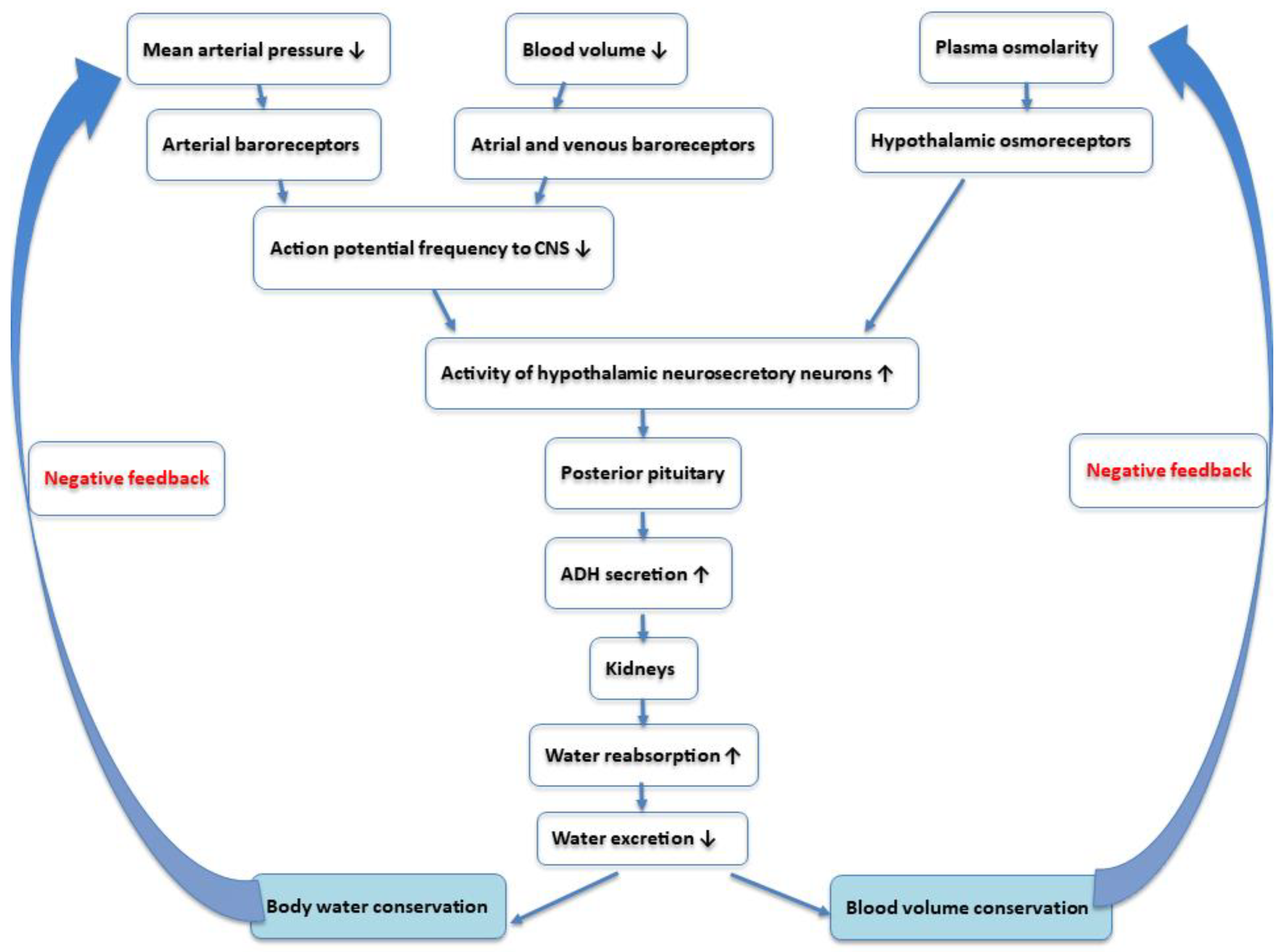Nutrients 17 01258 g001