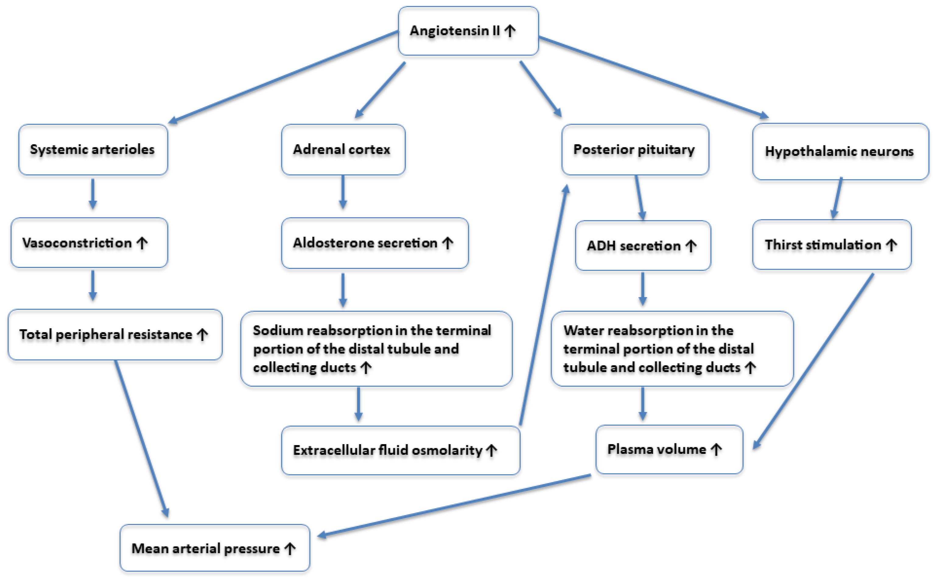 Nutrients 17 01258 g002
