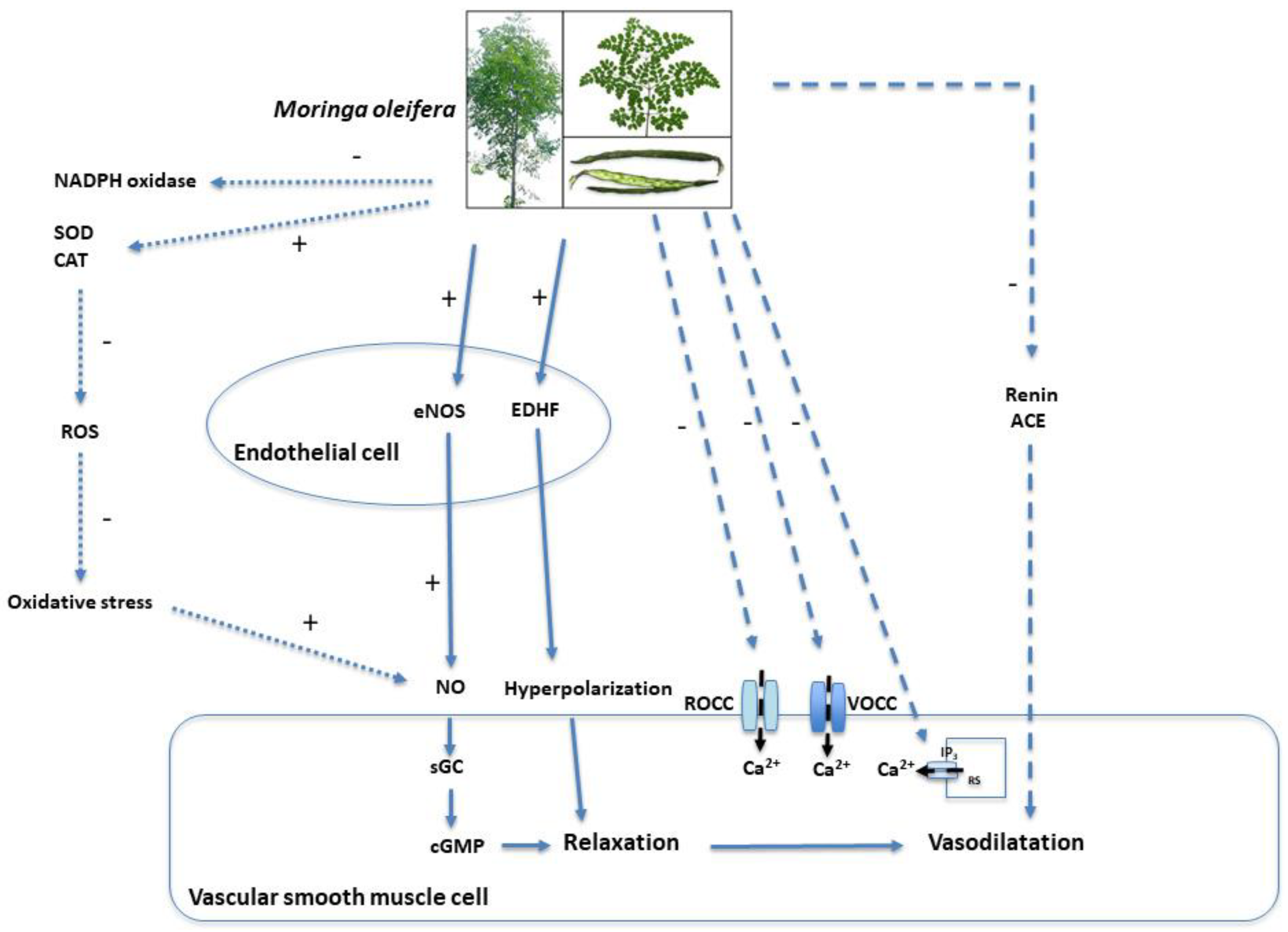 Nutrients 17 01258 g003