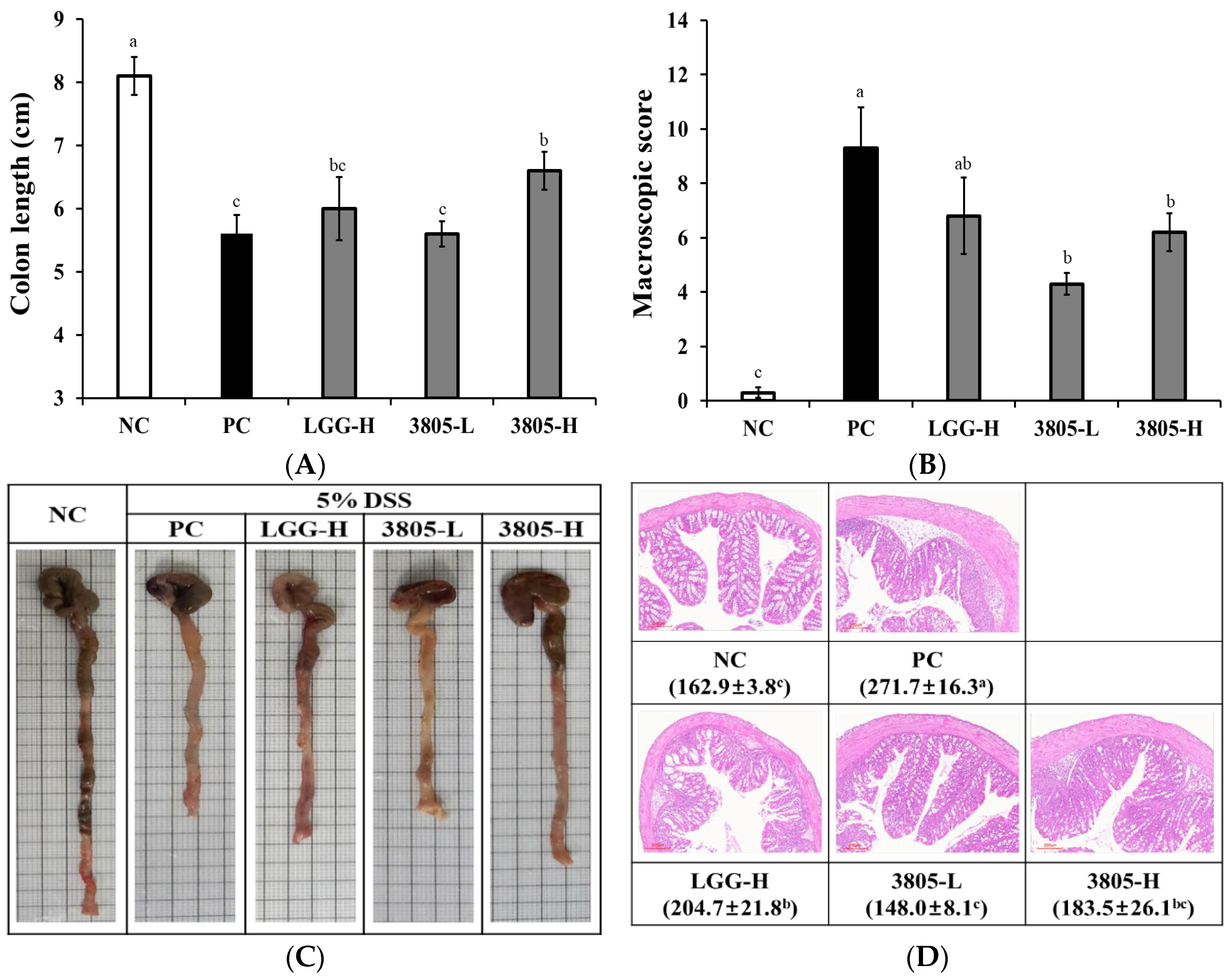 Nutrients 17 01259 g002