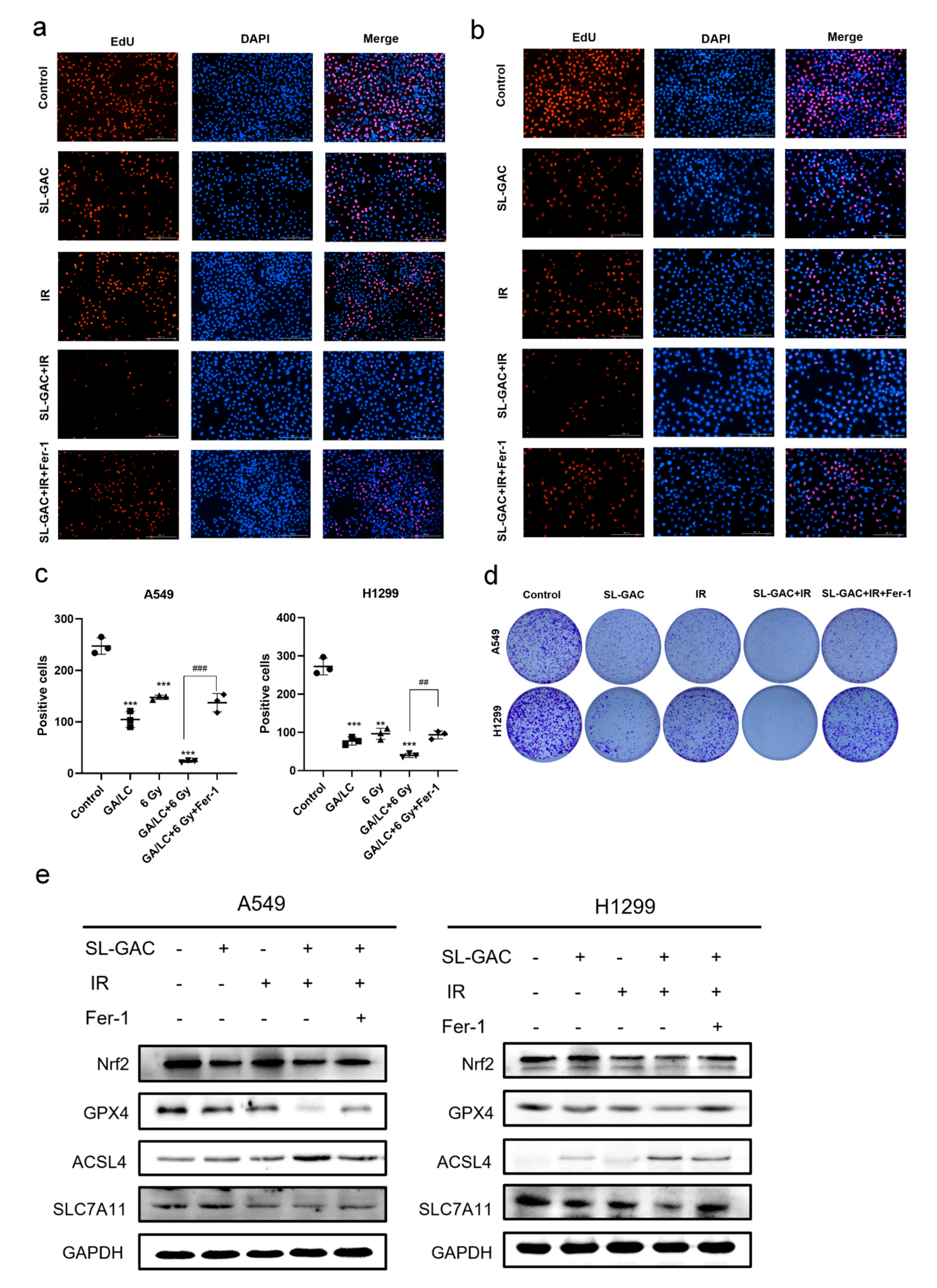 Nutrients 17 01262 g006