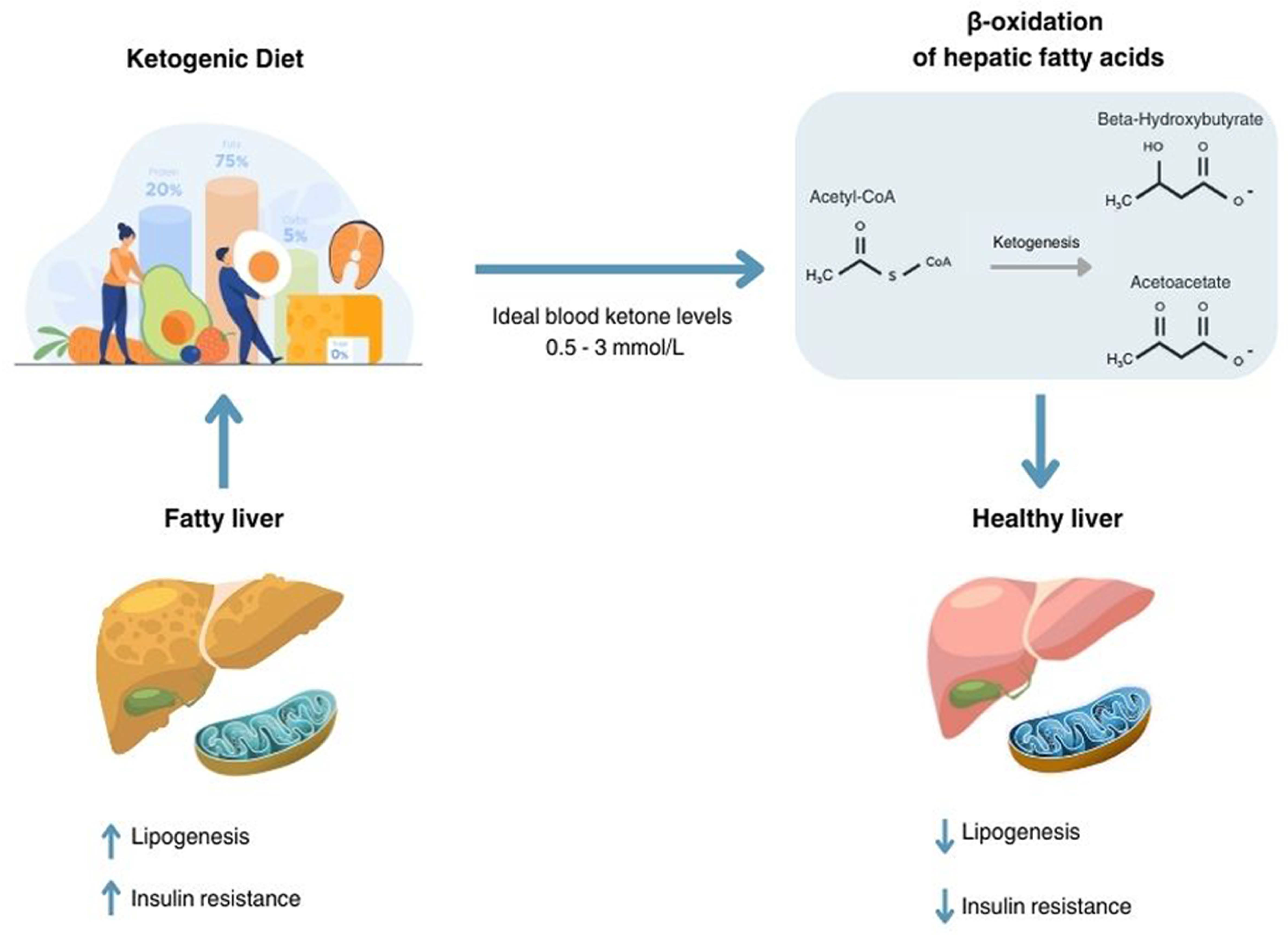 Nutrients 17 01269 g001