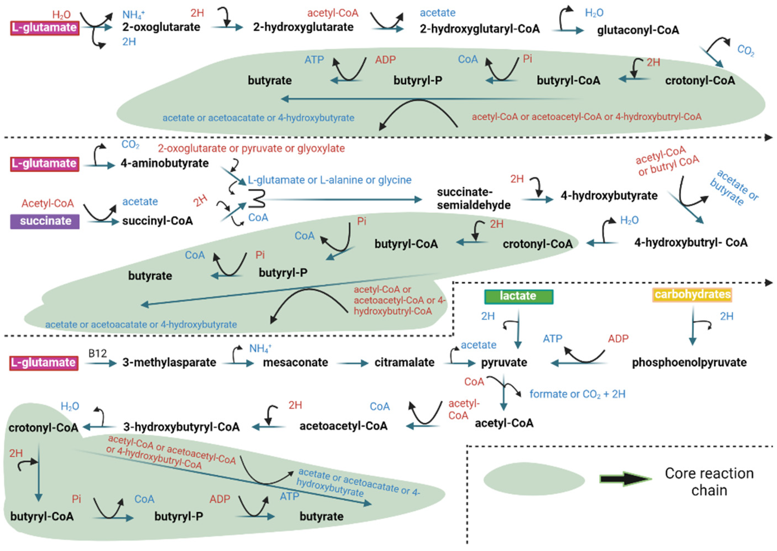Nutrients 17 01305 g001