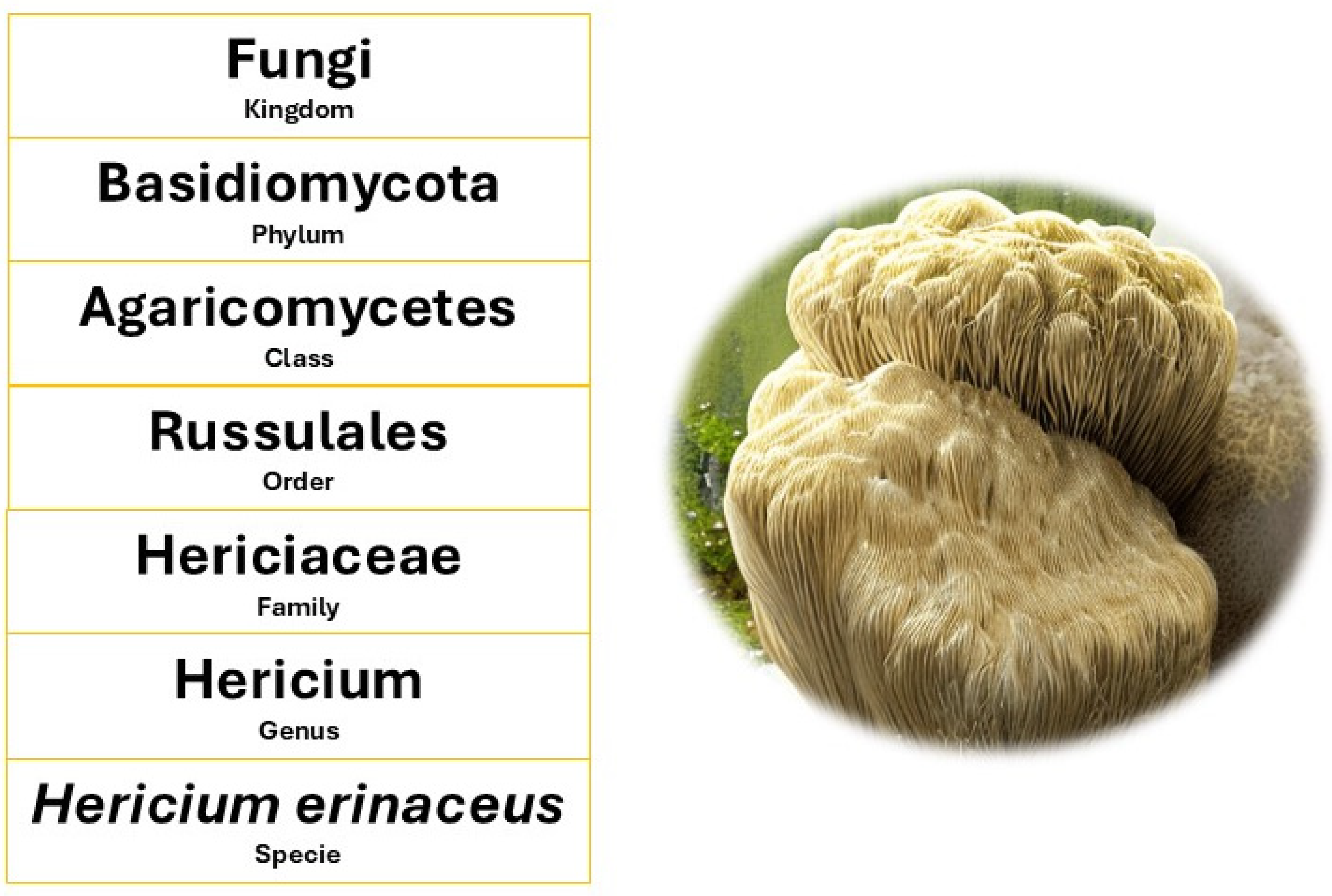 Nutrients 17 01307 g001