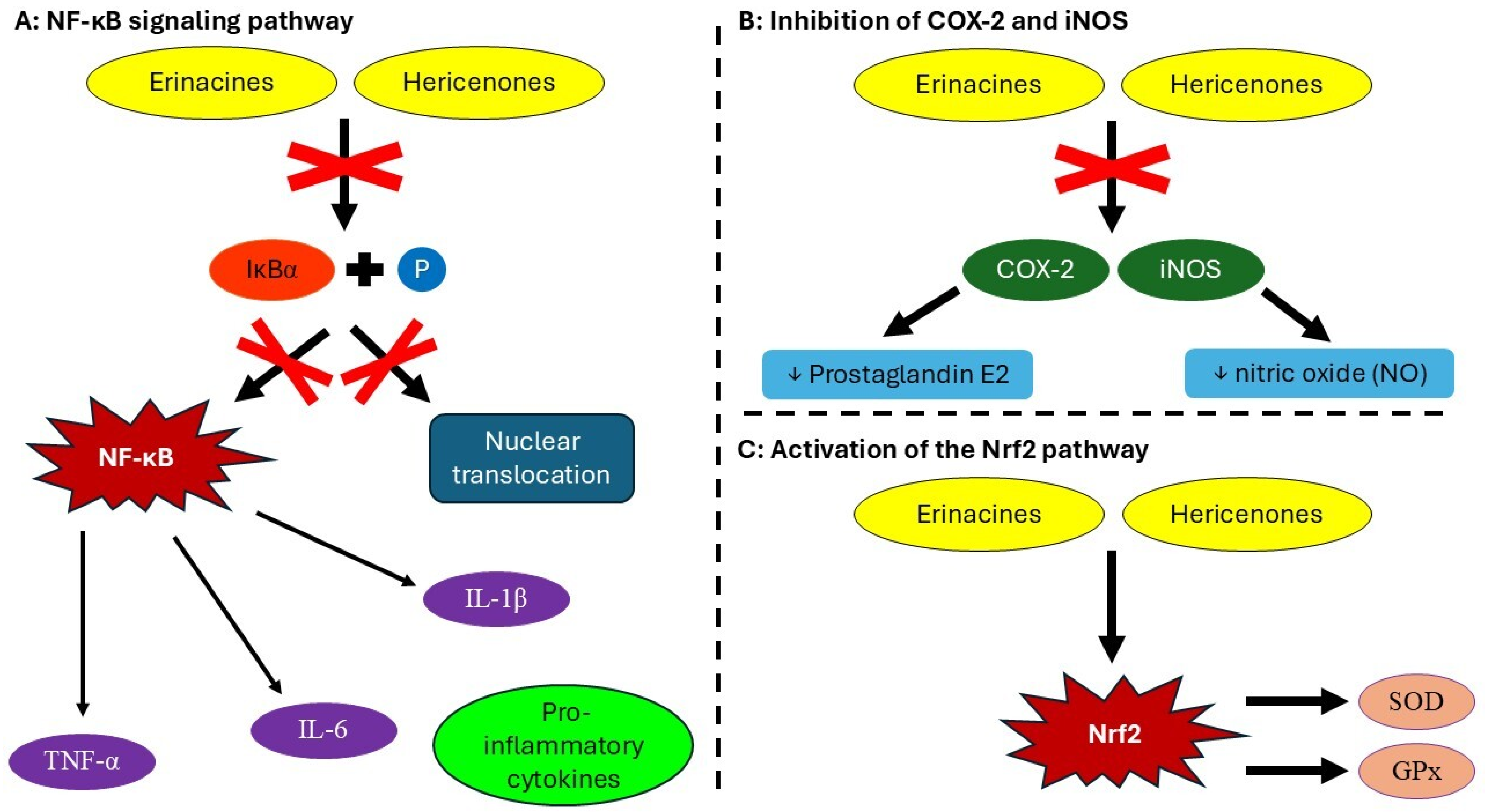 Nutrients 17 01307 g003