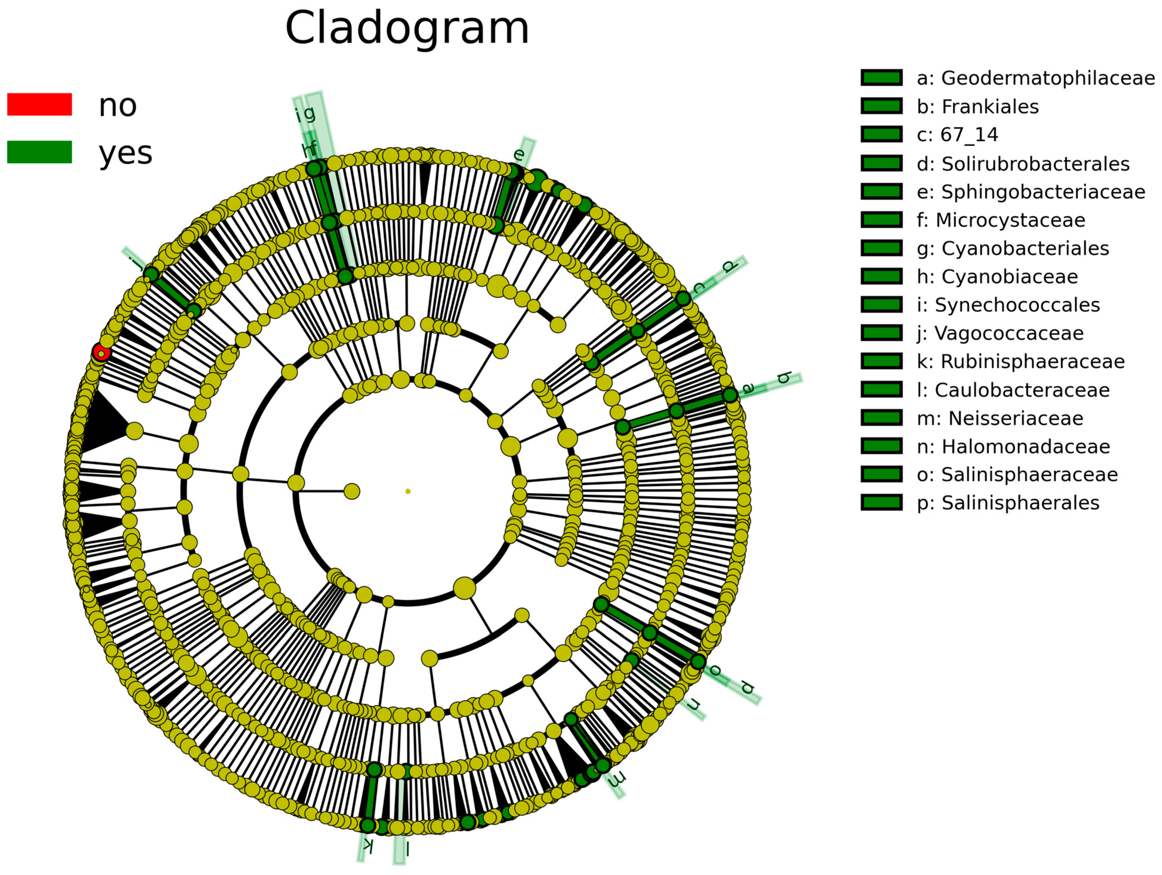 Nutrients 17 01329 g003