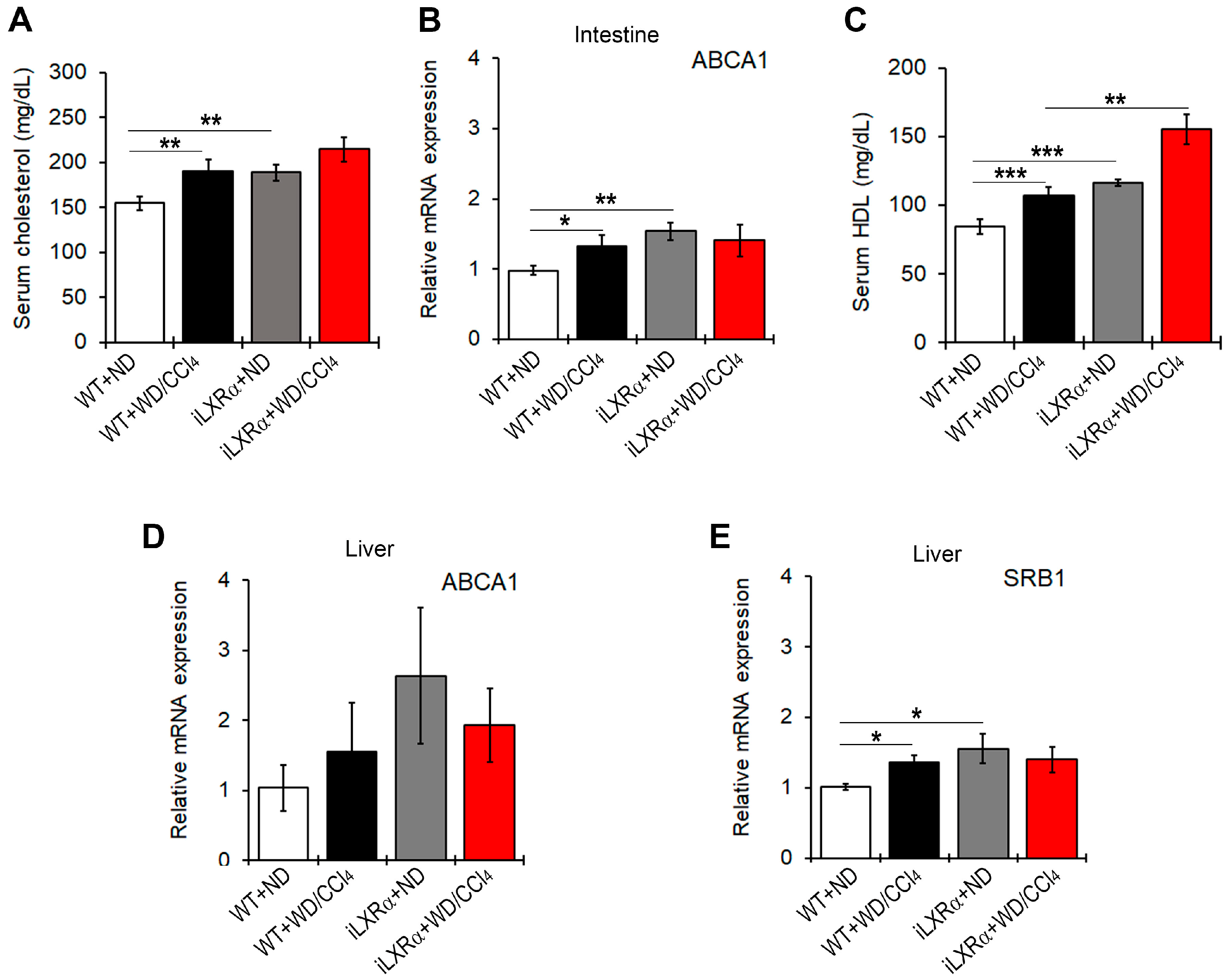 Nutrients 17 01349 g005