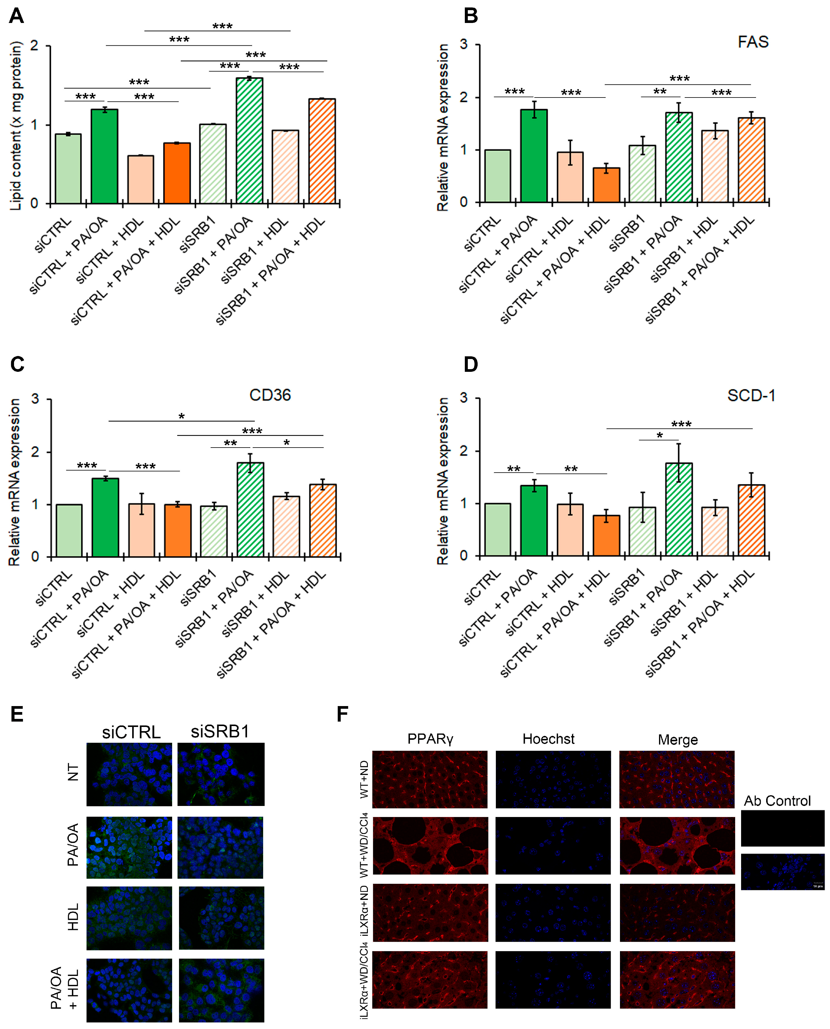 Nutrients 17 01349 g006