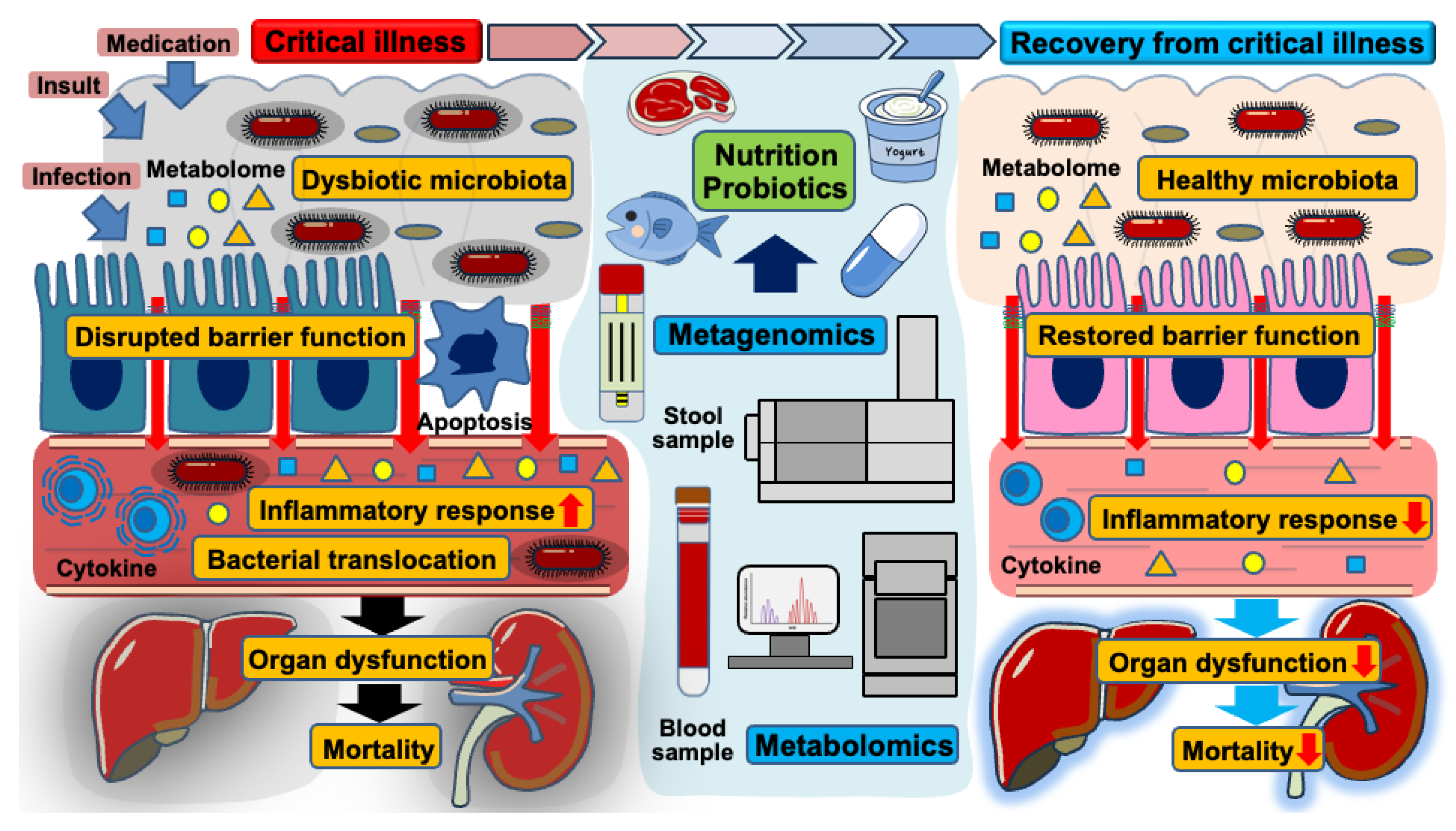 Nutrients 17 01352 g002