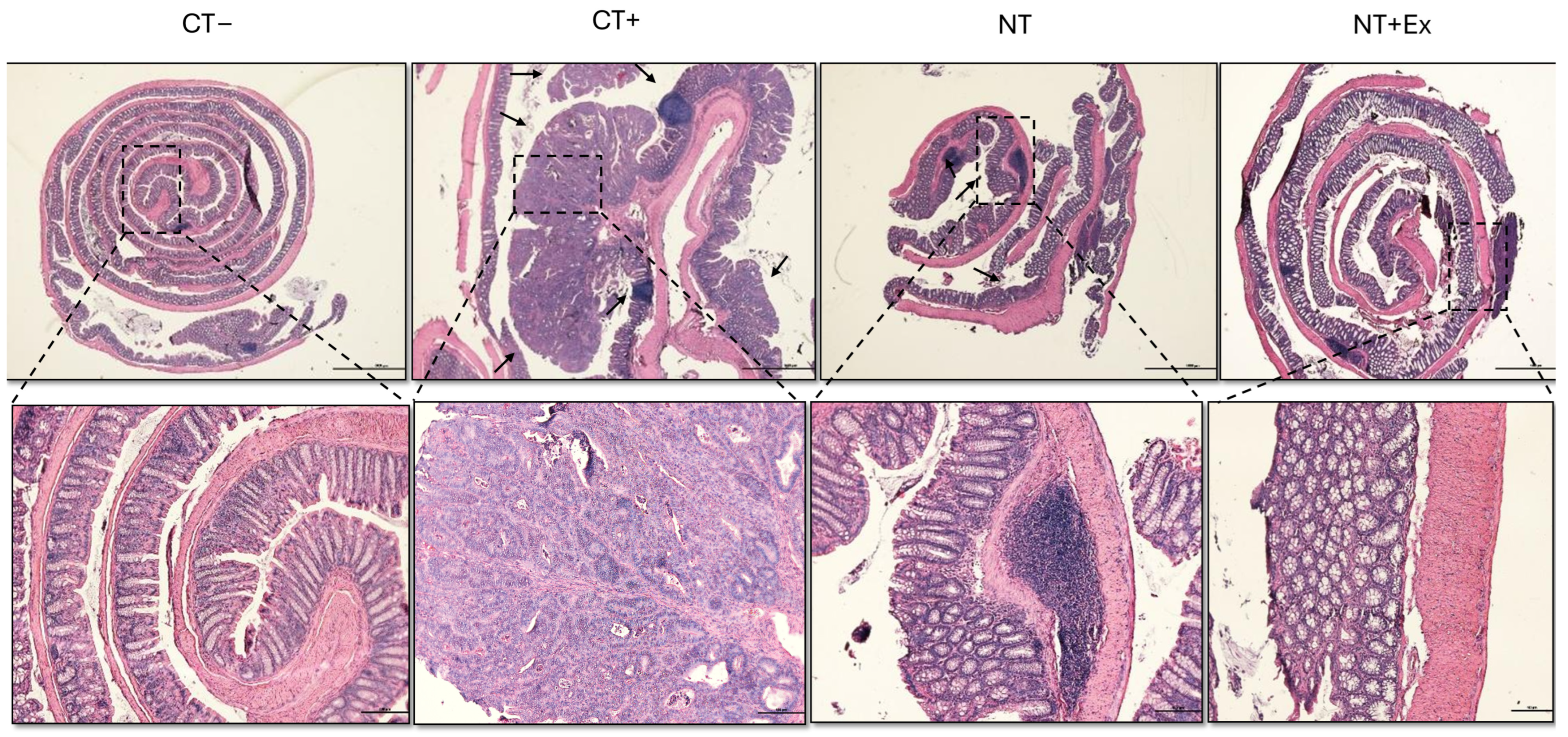 Nutrients 17 01358 g004