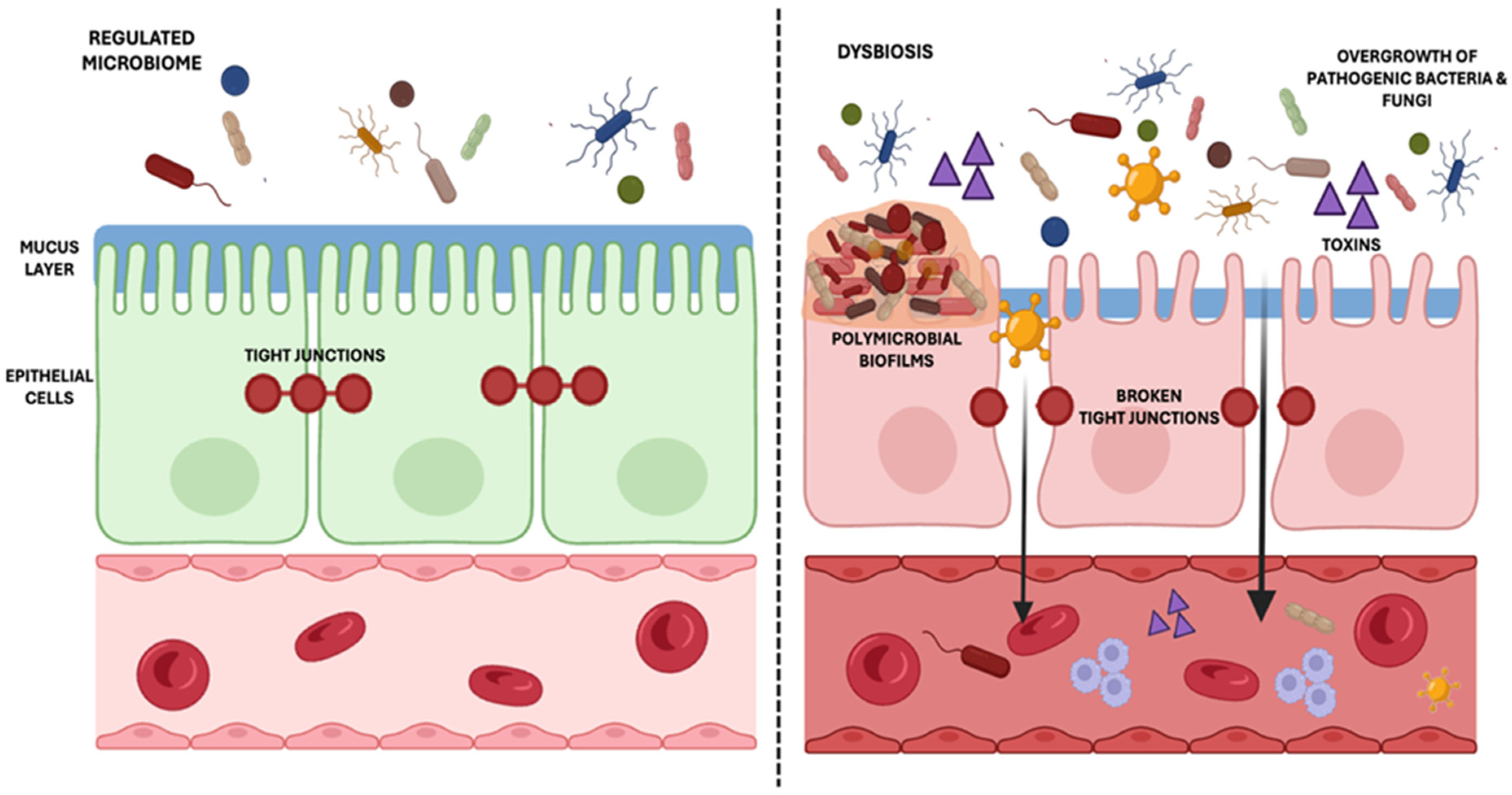 Nutrients 17 01365 g002