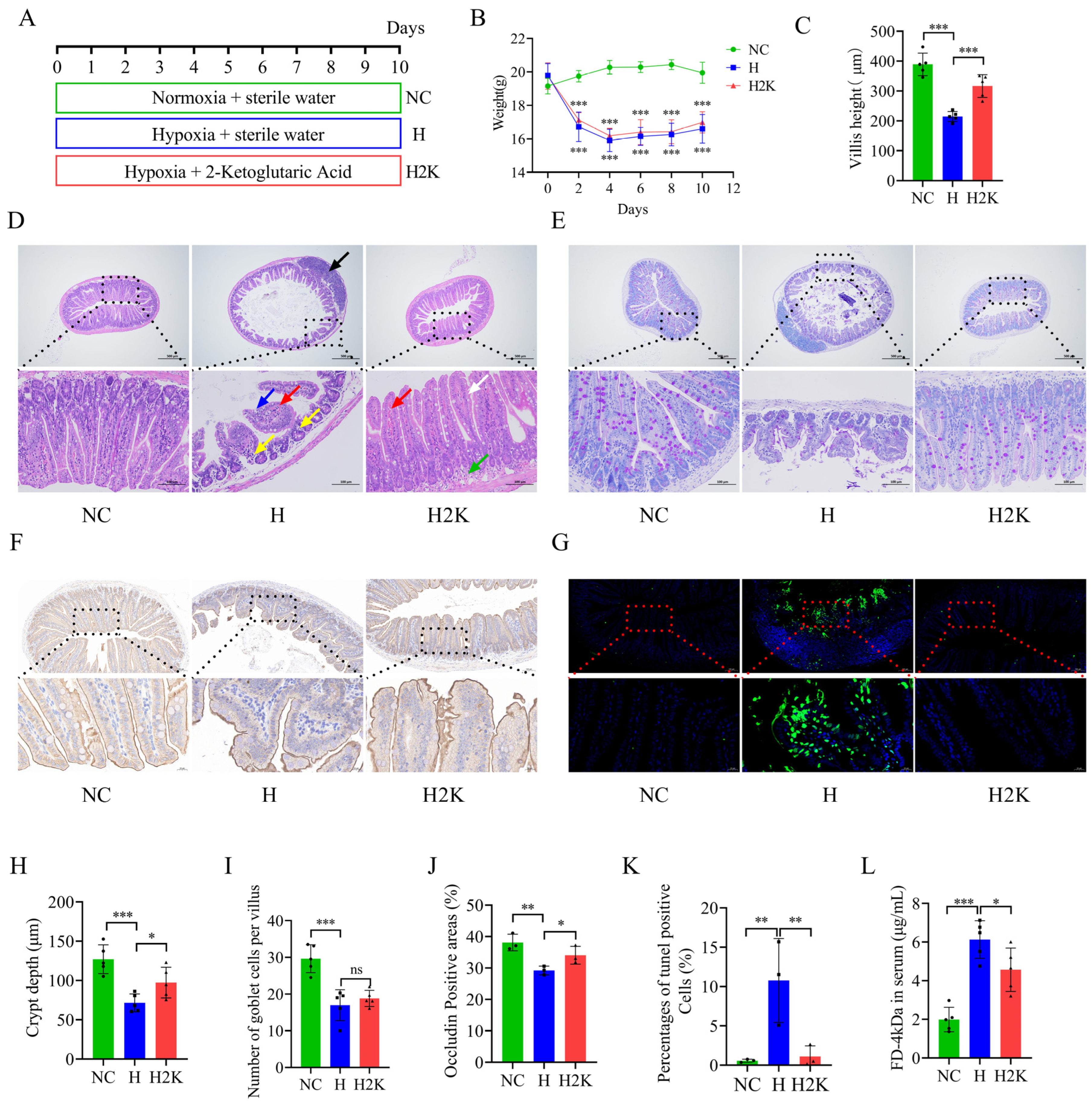 Nutrients 17 01380 g005